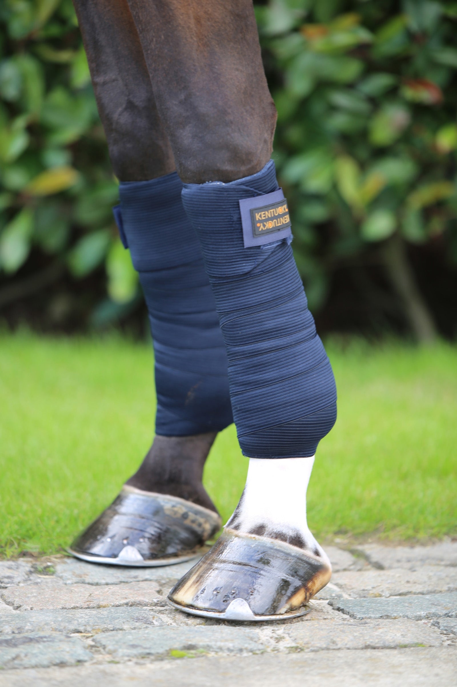 Kentucky Horsewear Elastic Bandages Leg Protection & Hoof Protection for Horses