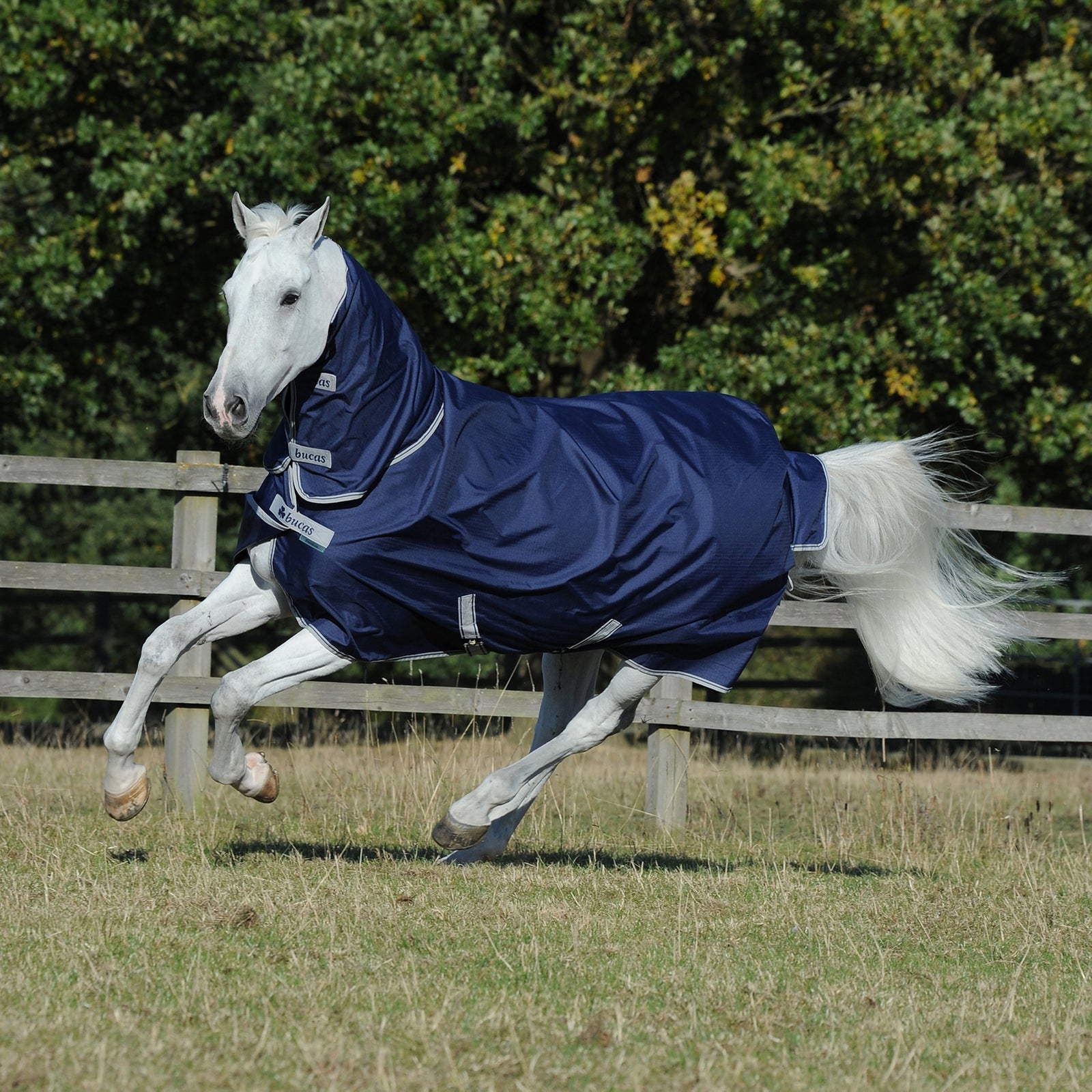 Bucas Freedom Pony Weidedecke mit festem Halsteil (150g / 150g) Pferdedecken
