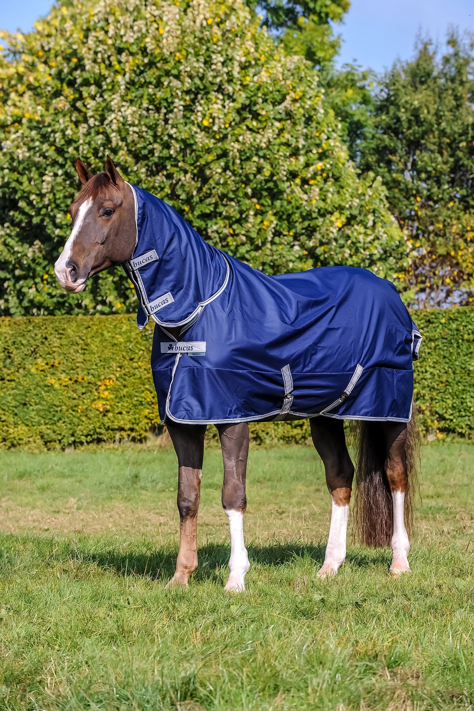 Bucas Freedom Turnout Light Fullneck Pony Regendecke mit festem Halsteil Pferdedecken