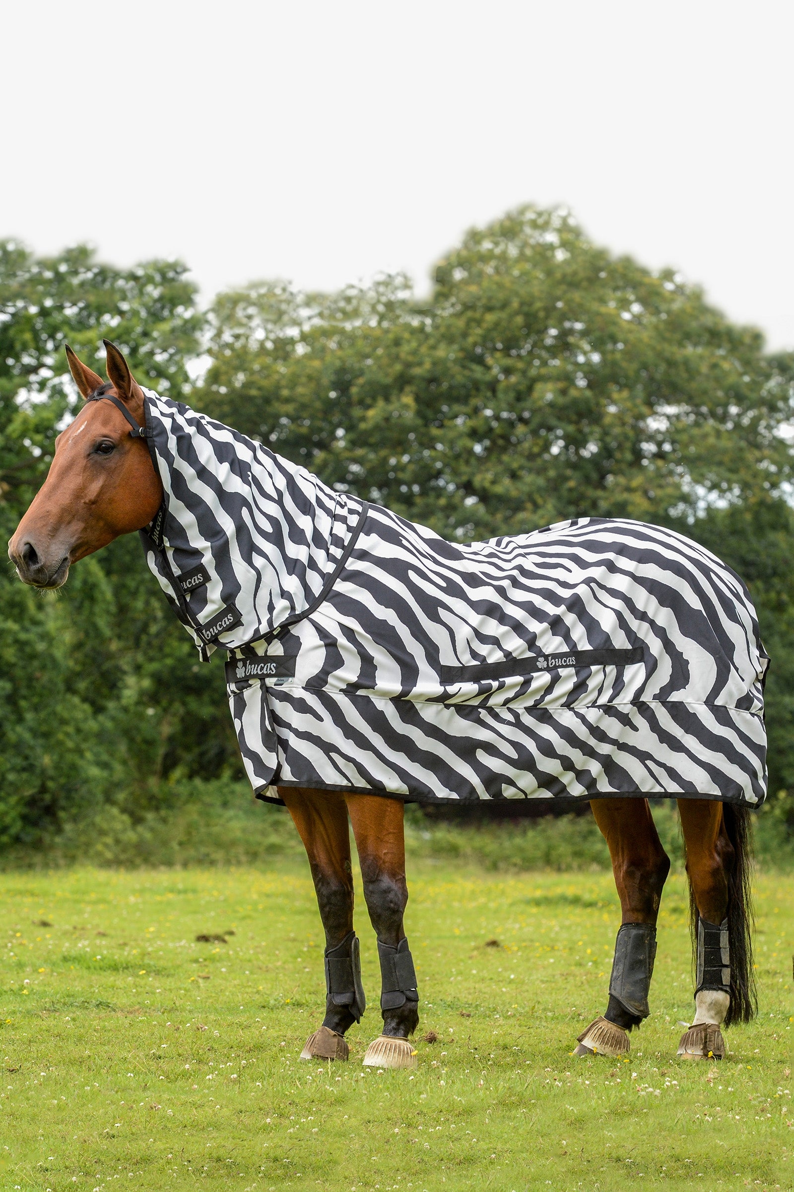 Bucas Sweet-itch Zebra Eczema Rug Pony with fixed Neck Horse Rugs