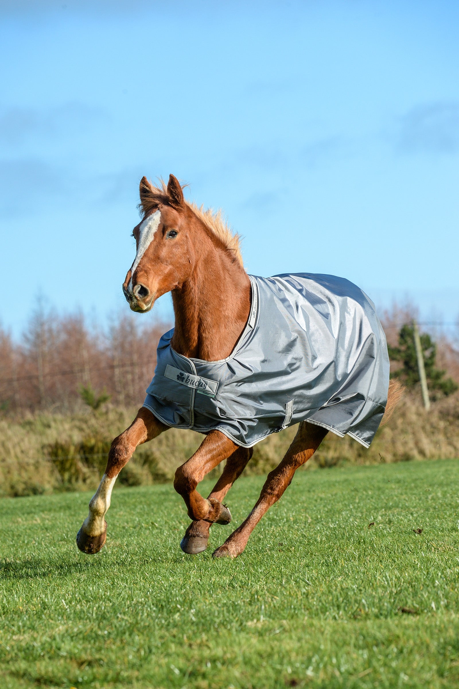 Bucas Smartex Extra Rug 300g Horse Rugs