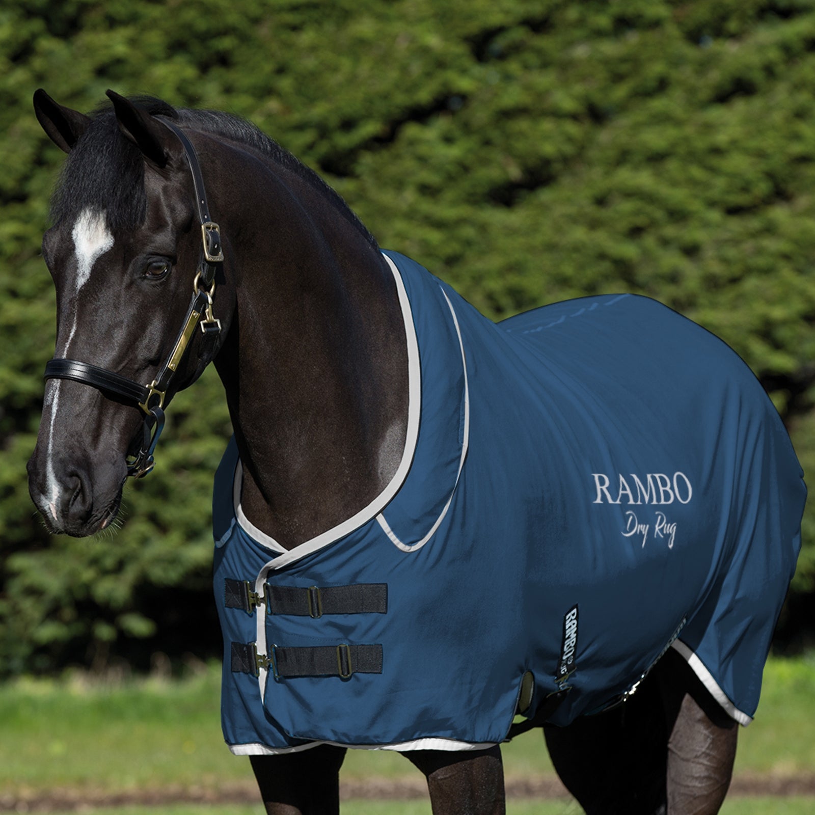 Horseware Rambo Dry Rug Supreme Abschwitzdecke Pferdedecken