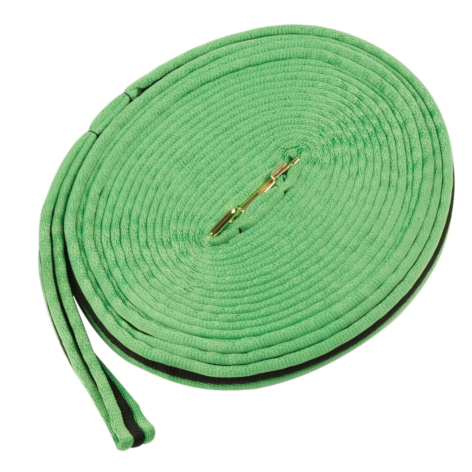 Kincade Brights Two Tone Padded Lunging rein 8m Horse Training