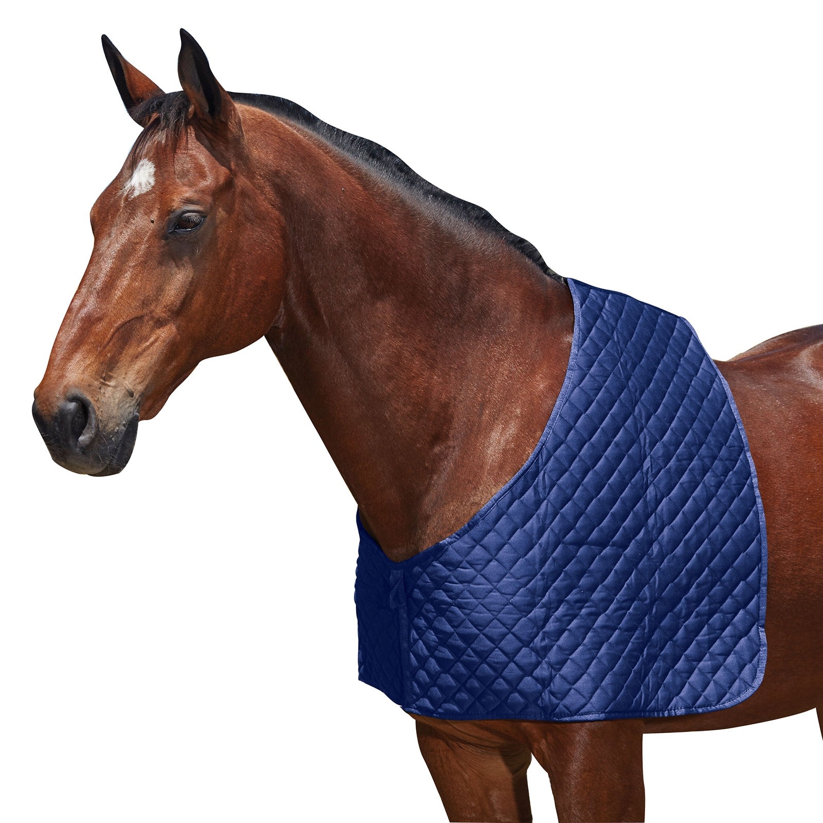 Weatherbeeta Deluxe Schulterschutz Pferdedecken