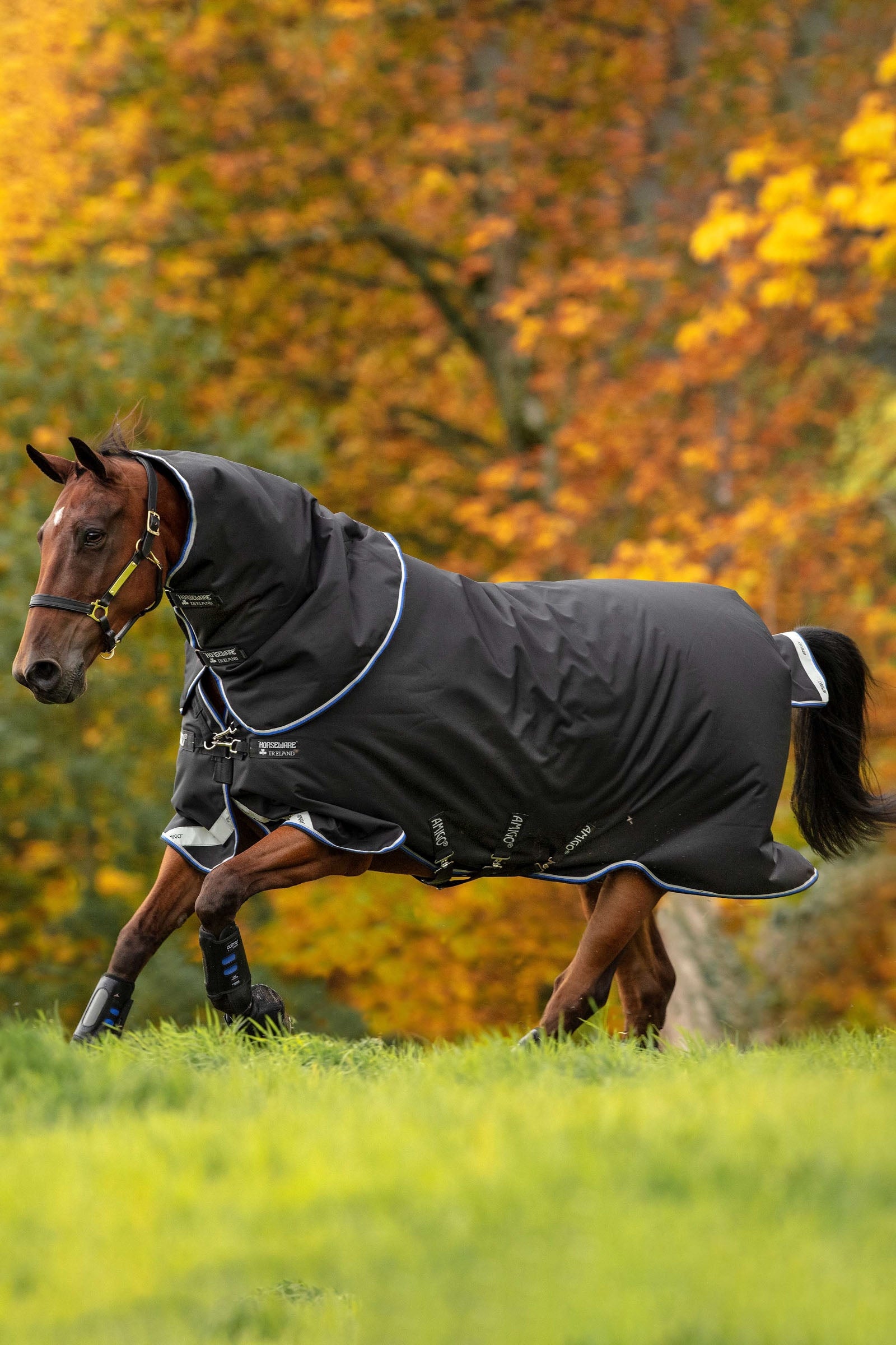 Horseware Amigo Bravo 12 Plus Weidedecke, 250 g Pferdedecken