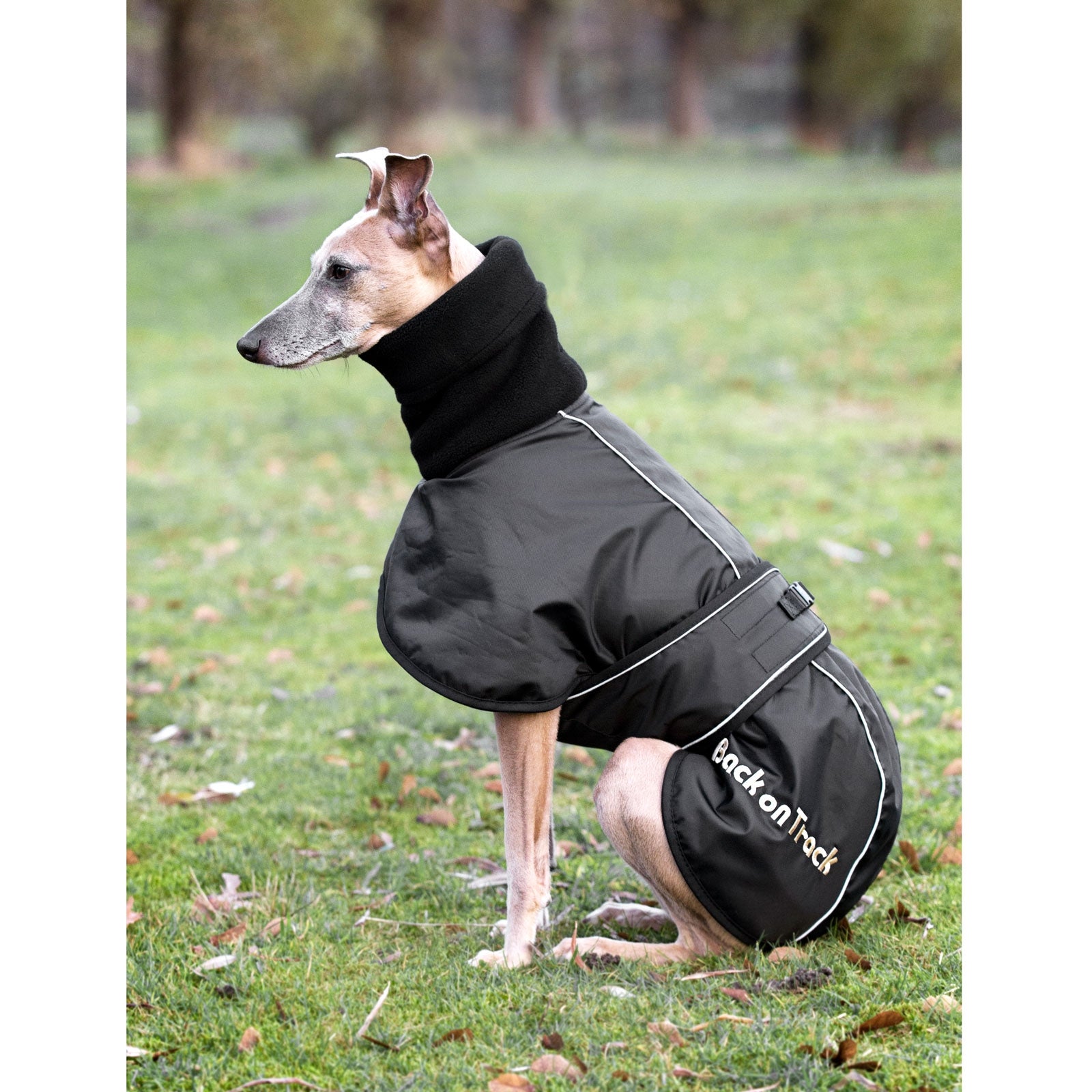 Back on Track Windhund Hundemantel, L-XXL Hund