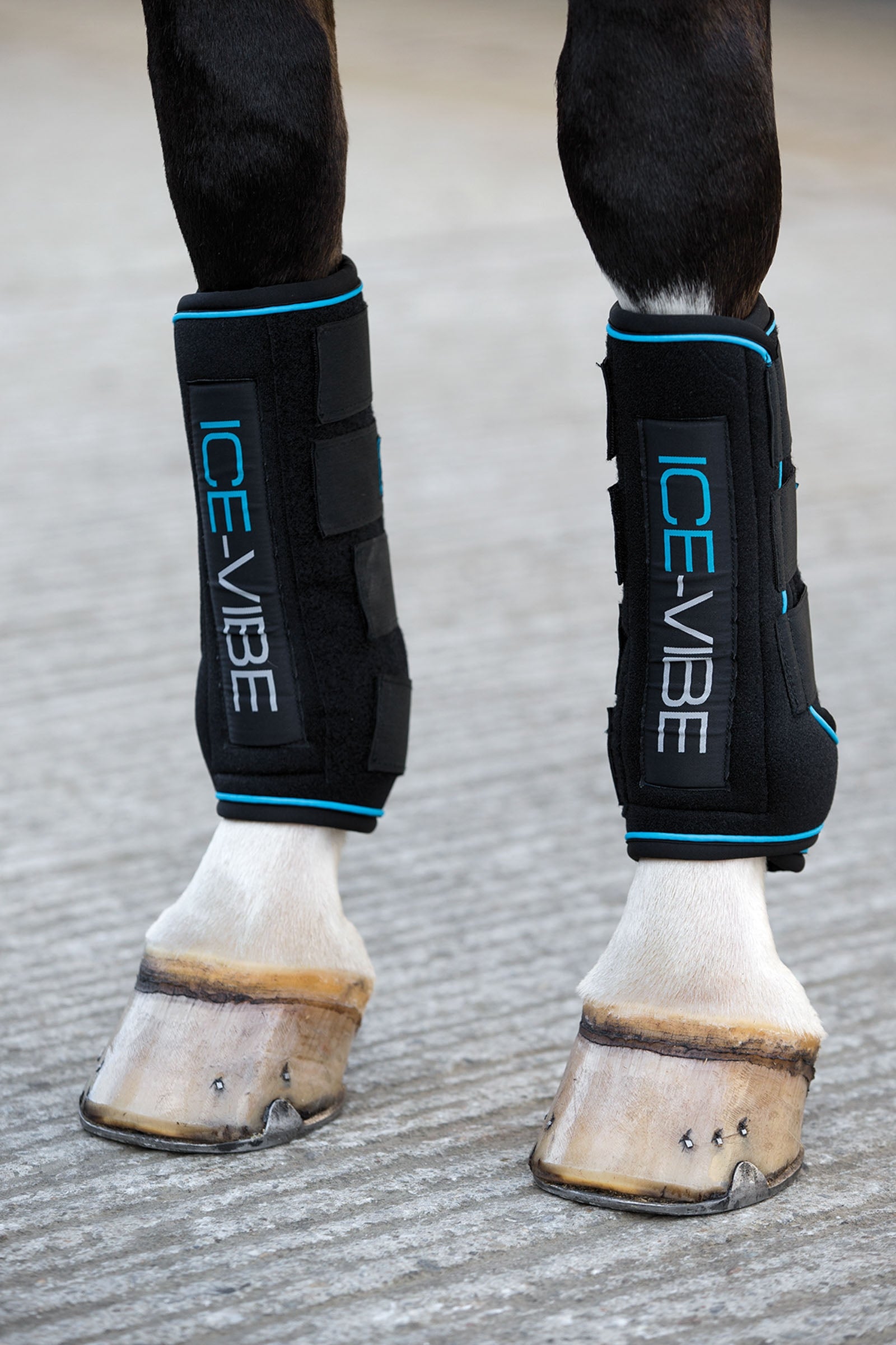 Horseware Ice-Vibe Gamaschen Leg Protection & Hoof Protection for Horses