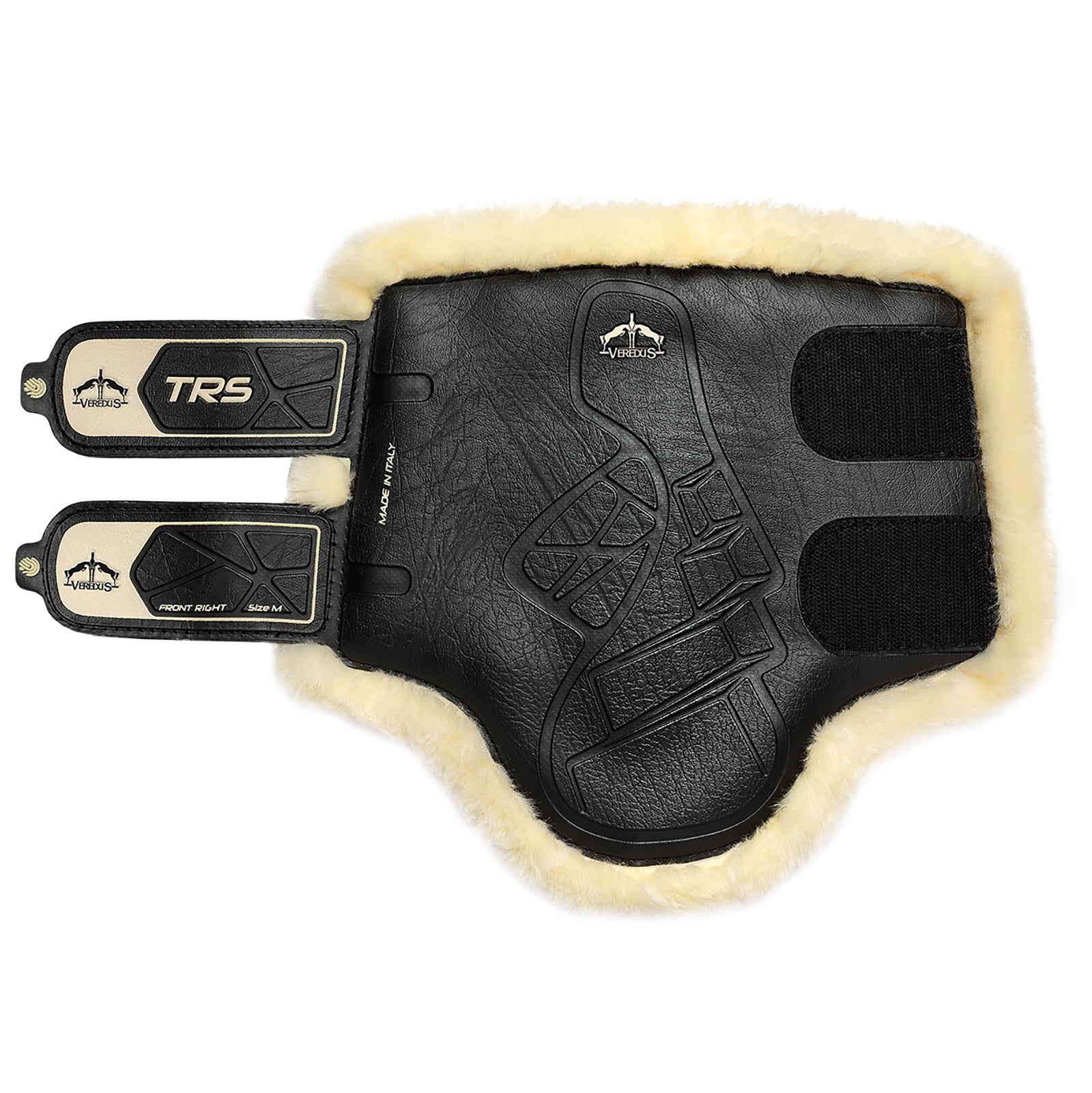 Alt Tag fallback text for IMAGE