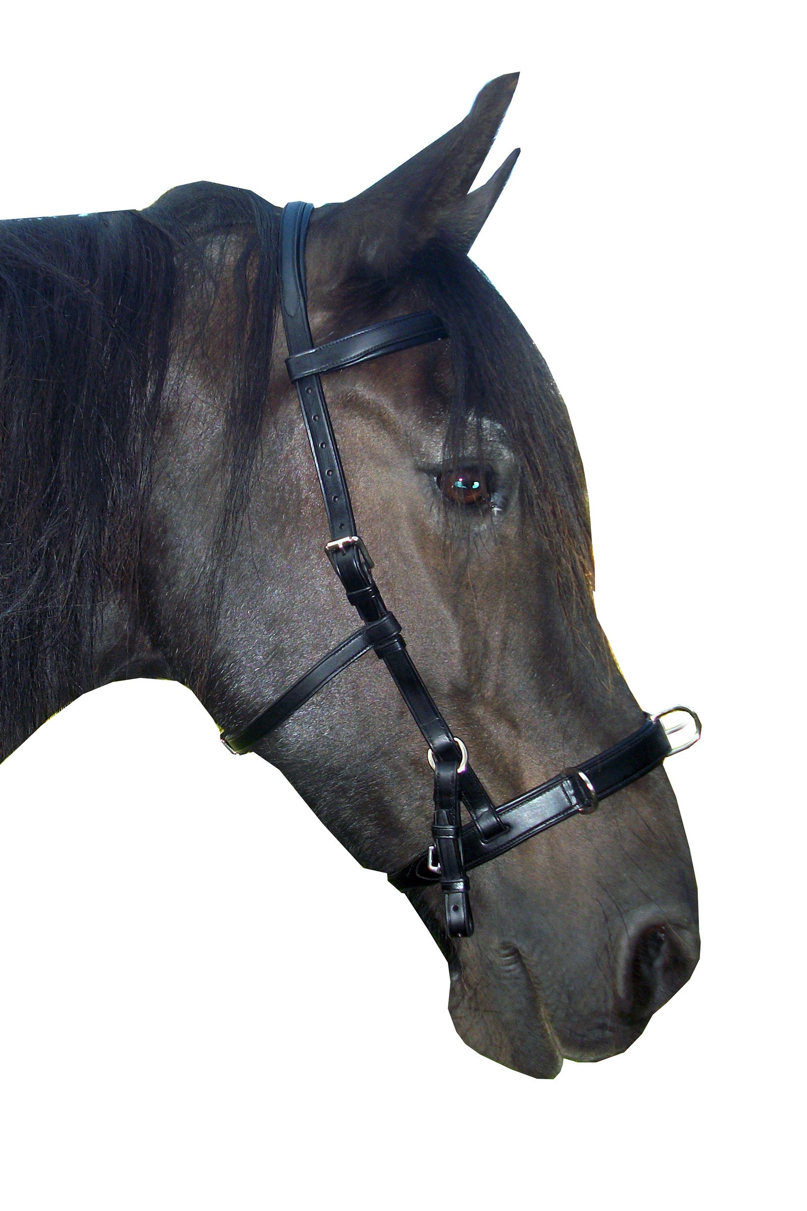 F.R.A. Freedom Riding Articles Baro Cavesson, Leather Horse Training
