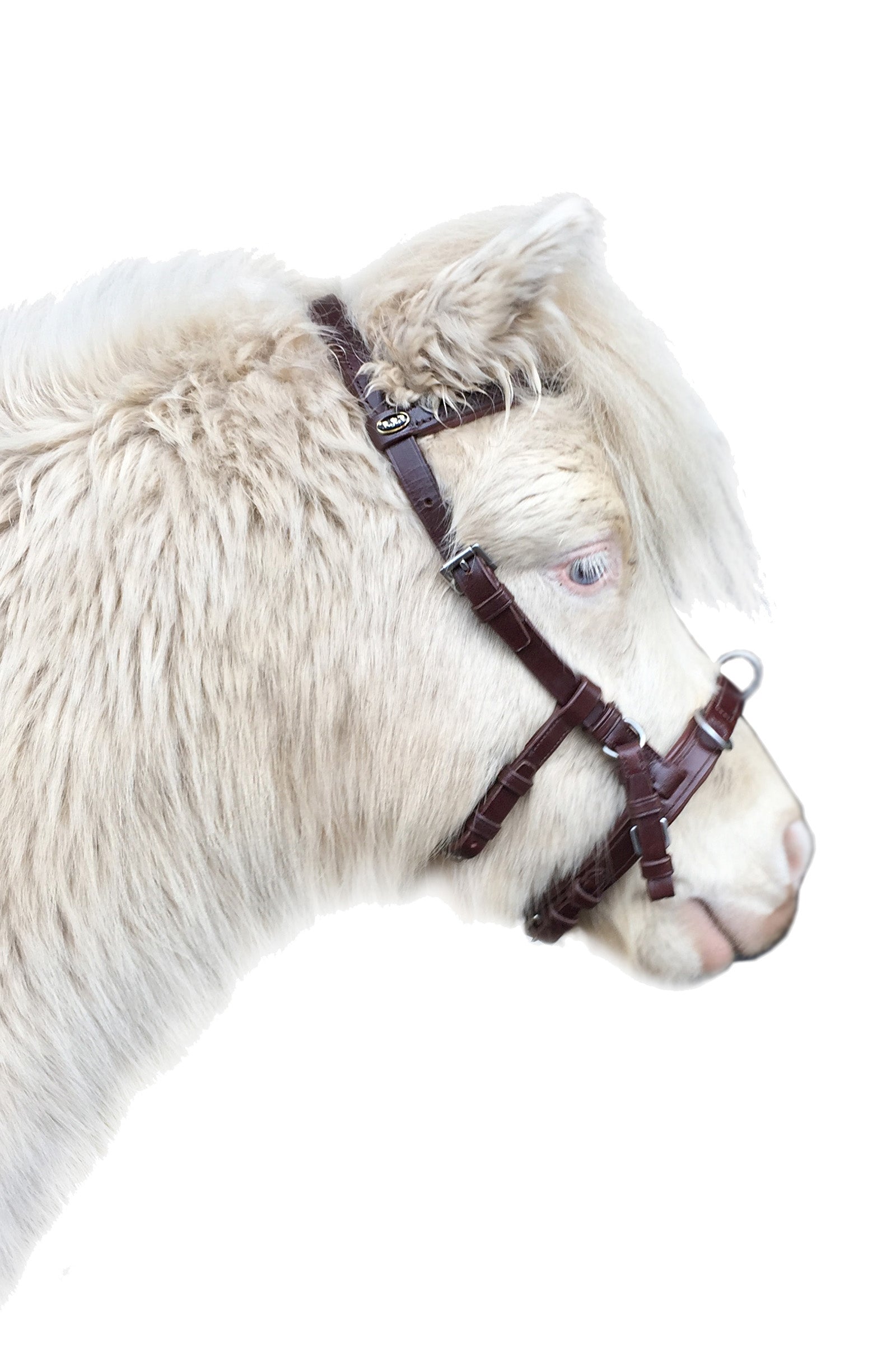 F.R.A. Freedom Riding Articles Baro Cavesson, Leather Horse Training