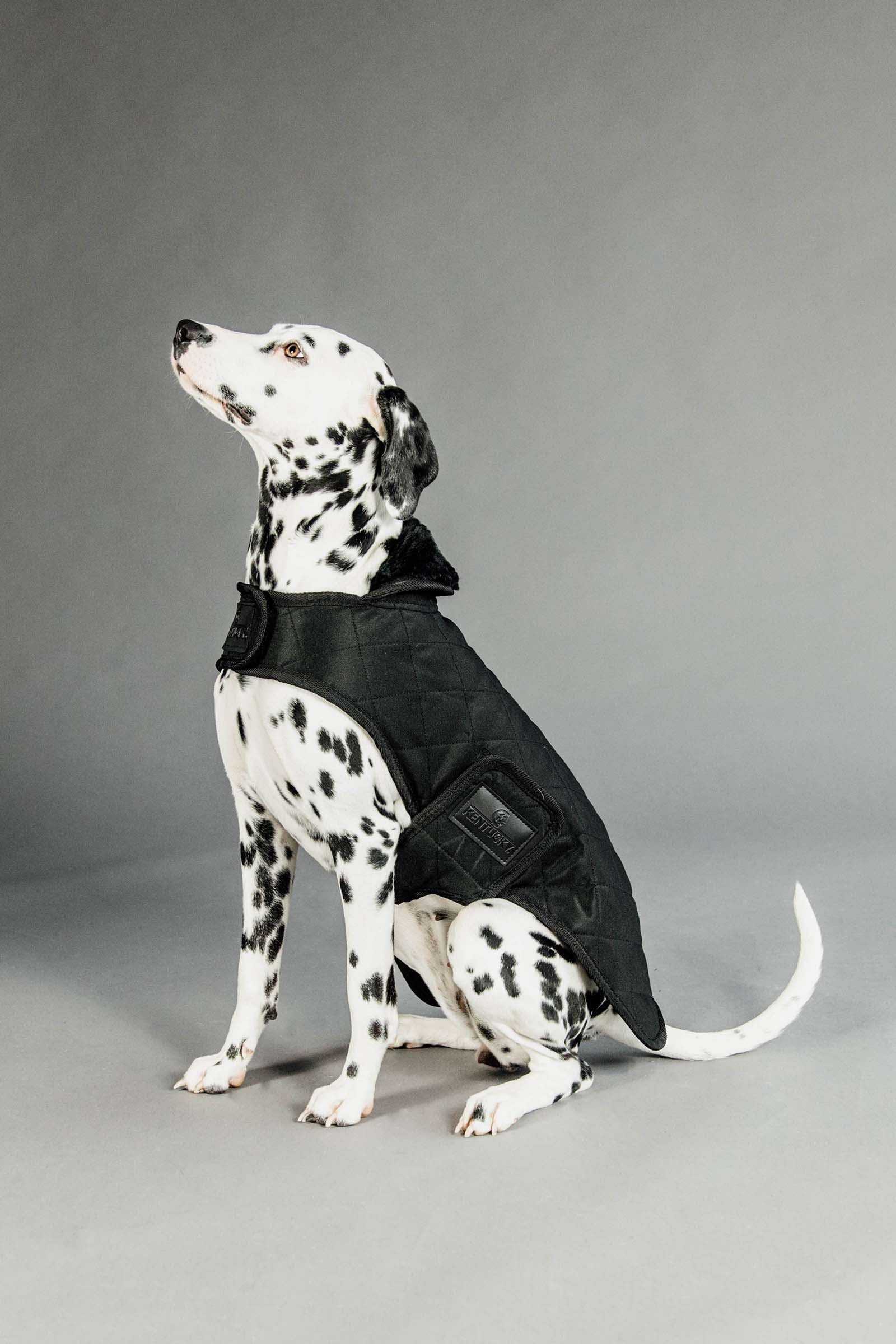 Kentucky Dogwear Hundemantel Hund