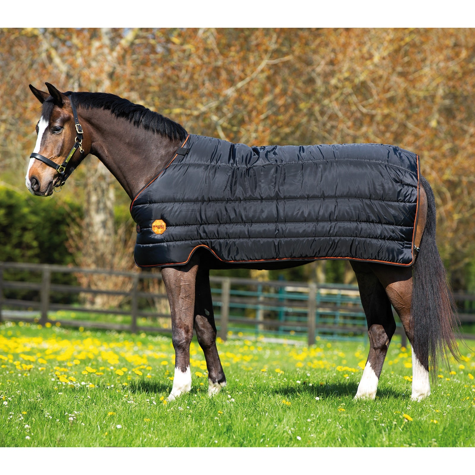 Horseware Rambo Ionic Stalldecke & Unterdecke, 100g Pferdedecken