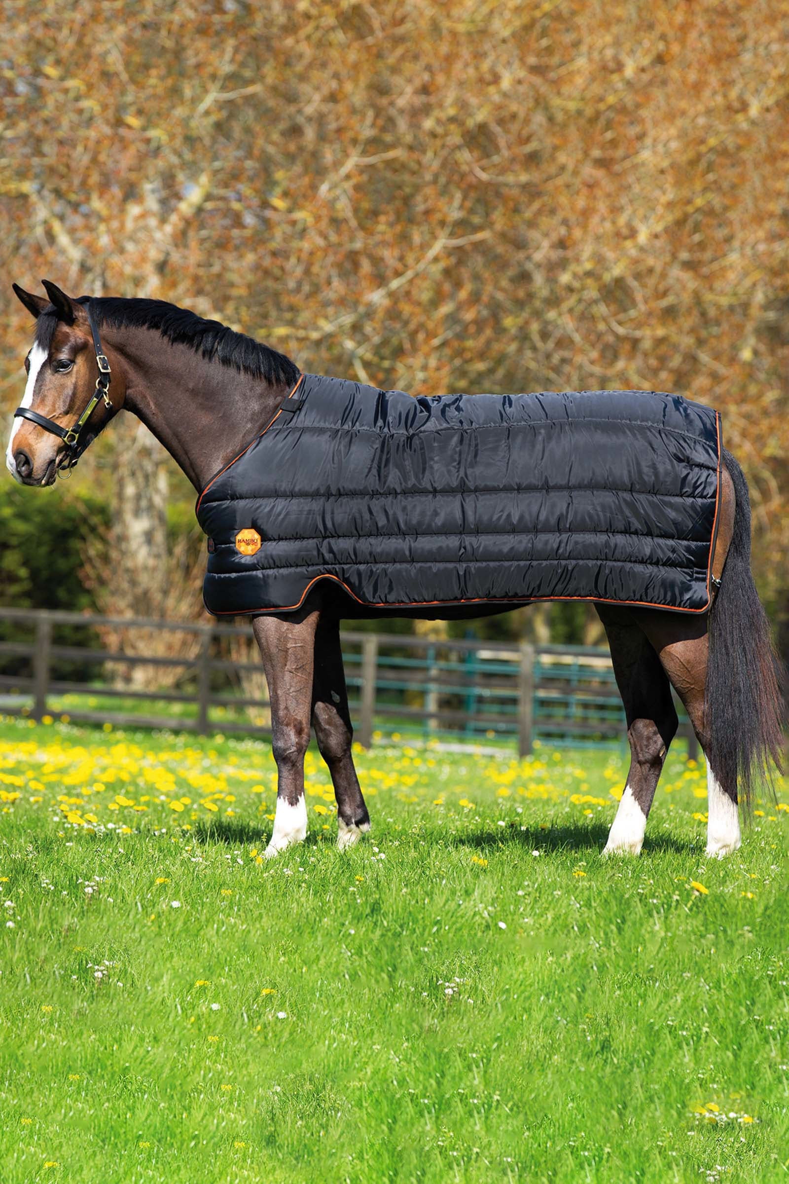 Horseware Rambo Ionic Stable- & Under Rug, 100g Horse Rugs