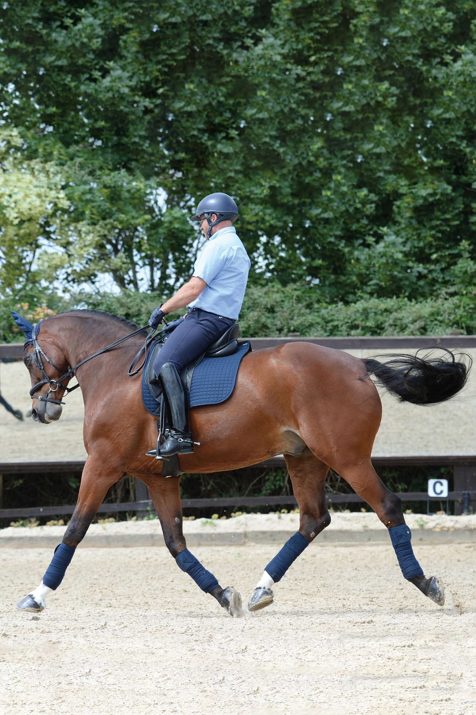 Weatherbeeta Prime Dressage Saddle Pad Saddle Pads