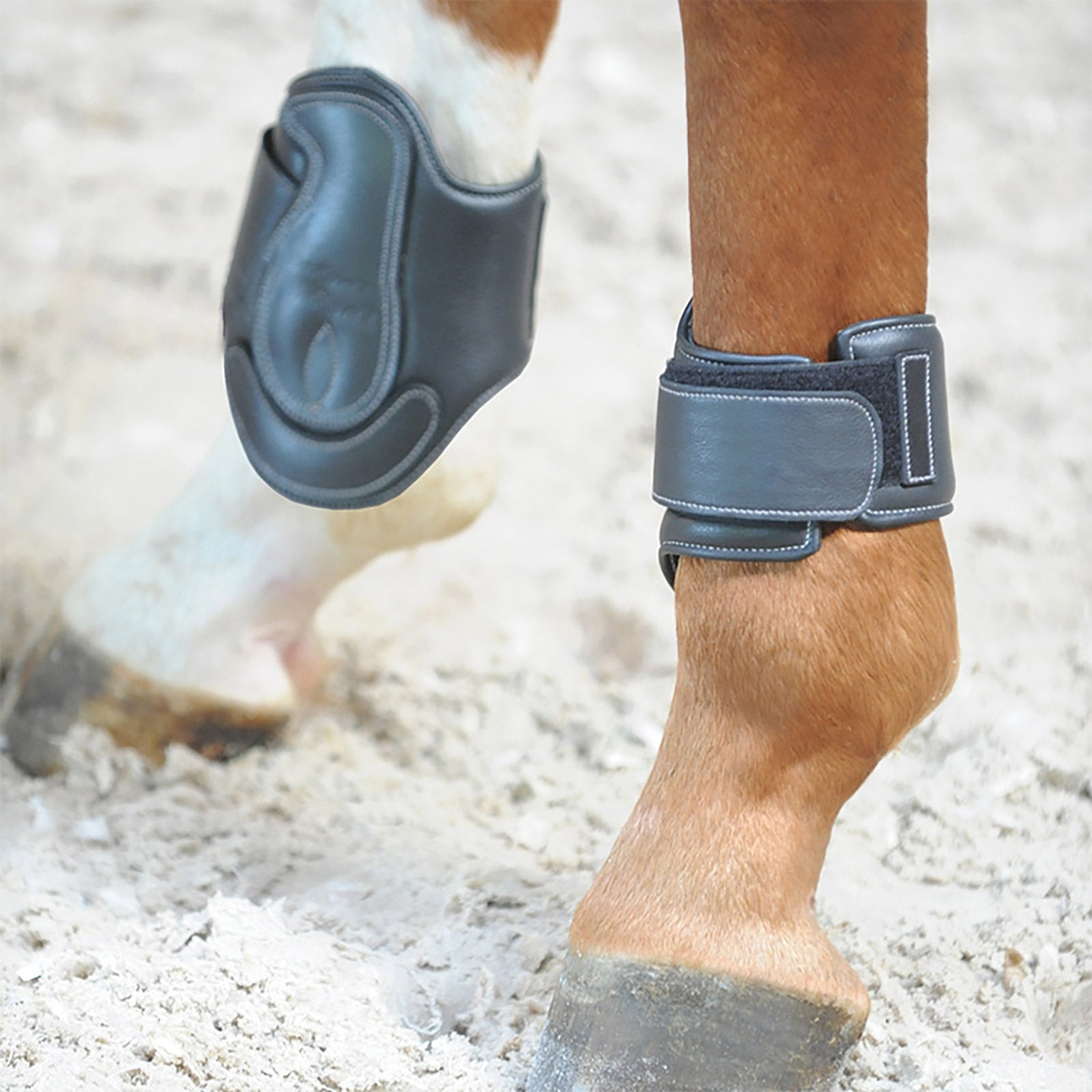 Kavalkade Ledergamschen Soft Dekor Leg Protection & Hoof Protection for Horses