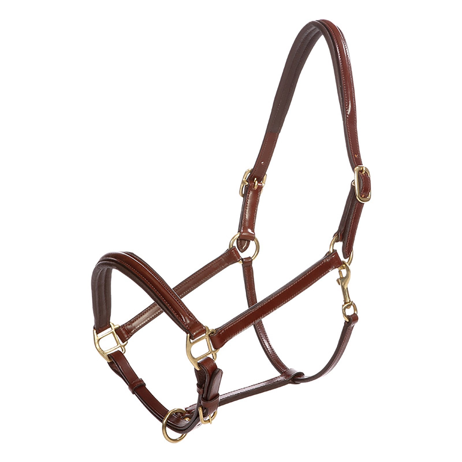 Kavalkade Lederhalfter Charming Halfter & Stricke