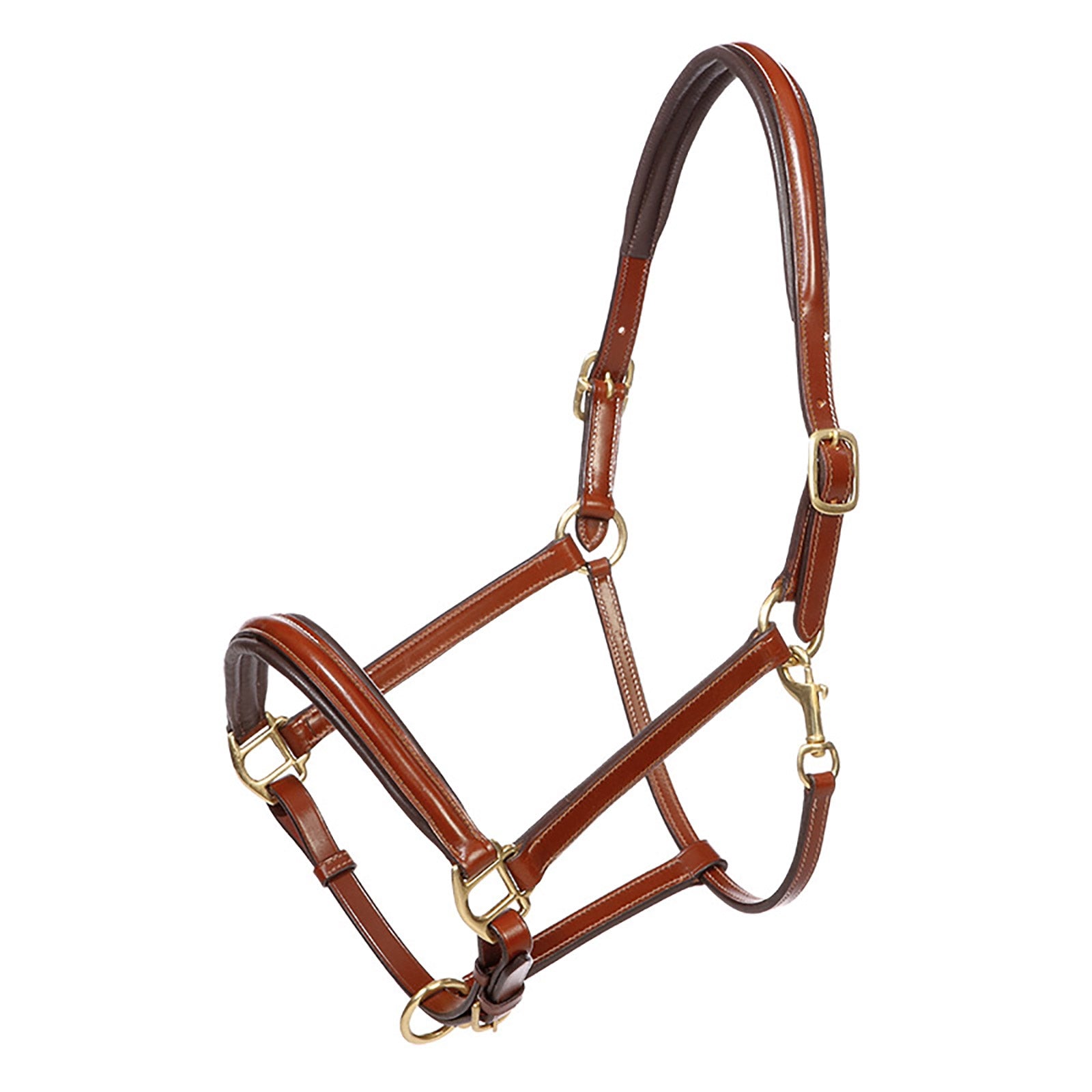 Kavalkade Lederhalfter Charming Halfter & Stricke