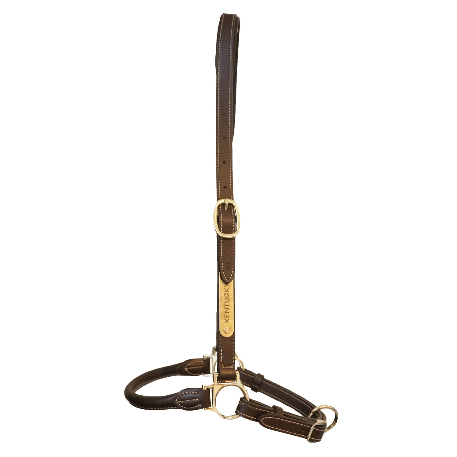 Kentucky Horsewear Stallhalfter Leder Halfter & Stricke