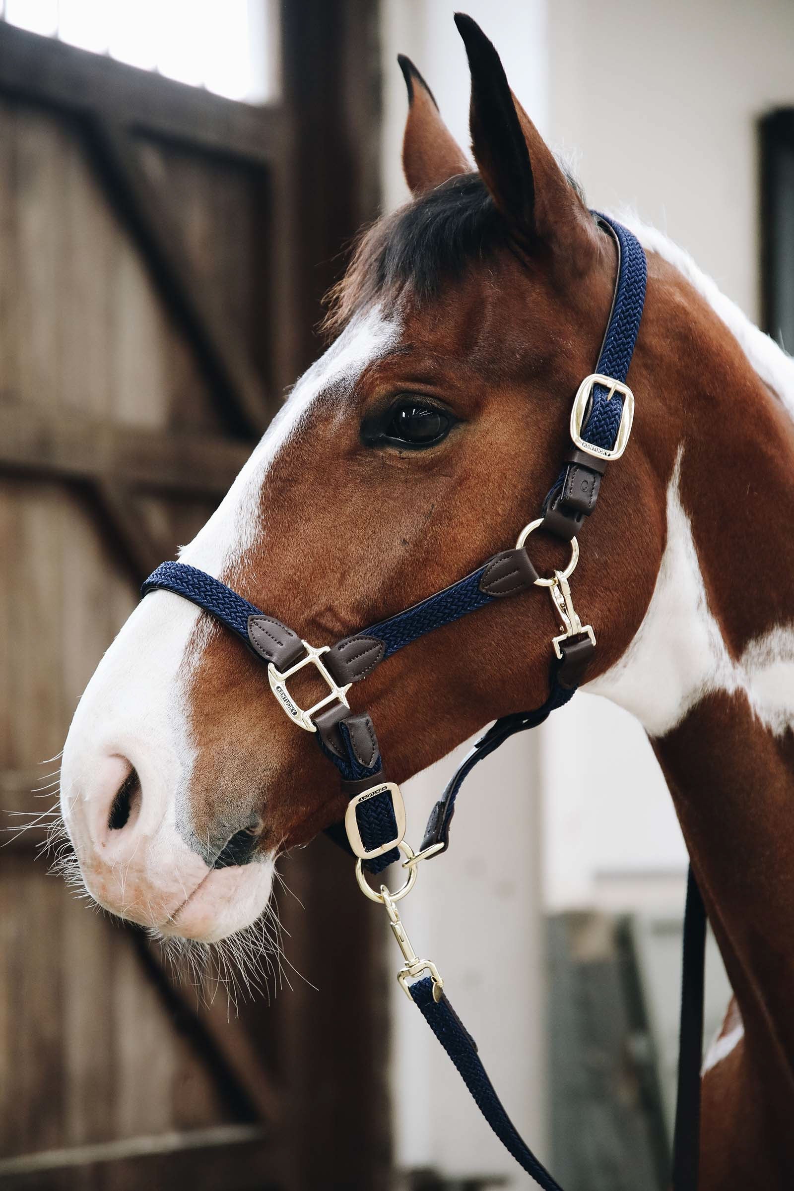 Kentucky Horsewear Kentucky Plaited Nylon Halter Halters & Leads