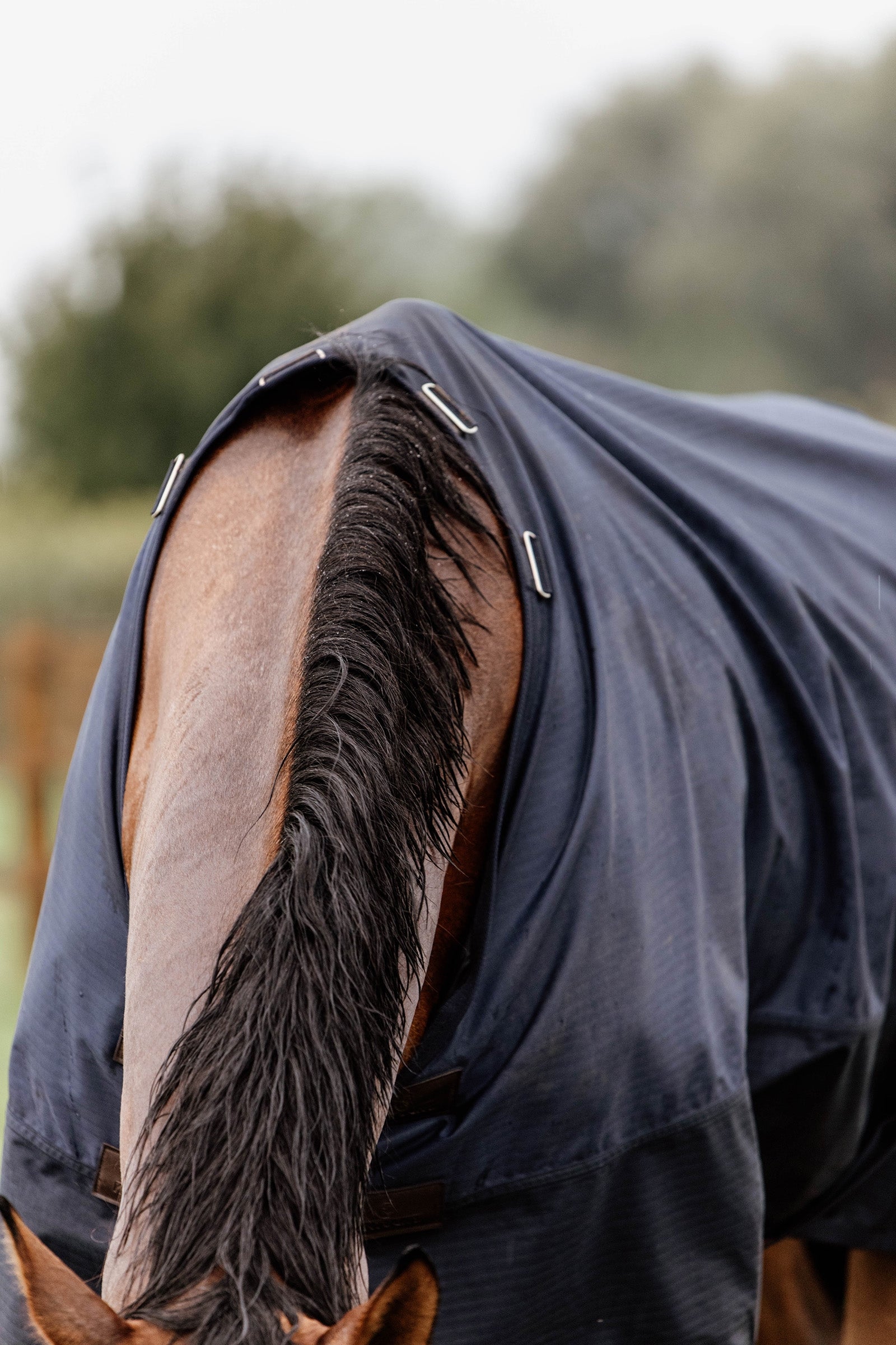 Kentucky Horsewear Turnout Rug All Weather, 300g Horse Rugs