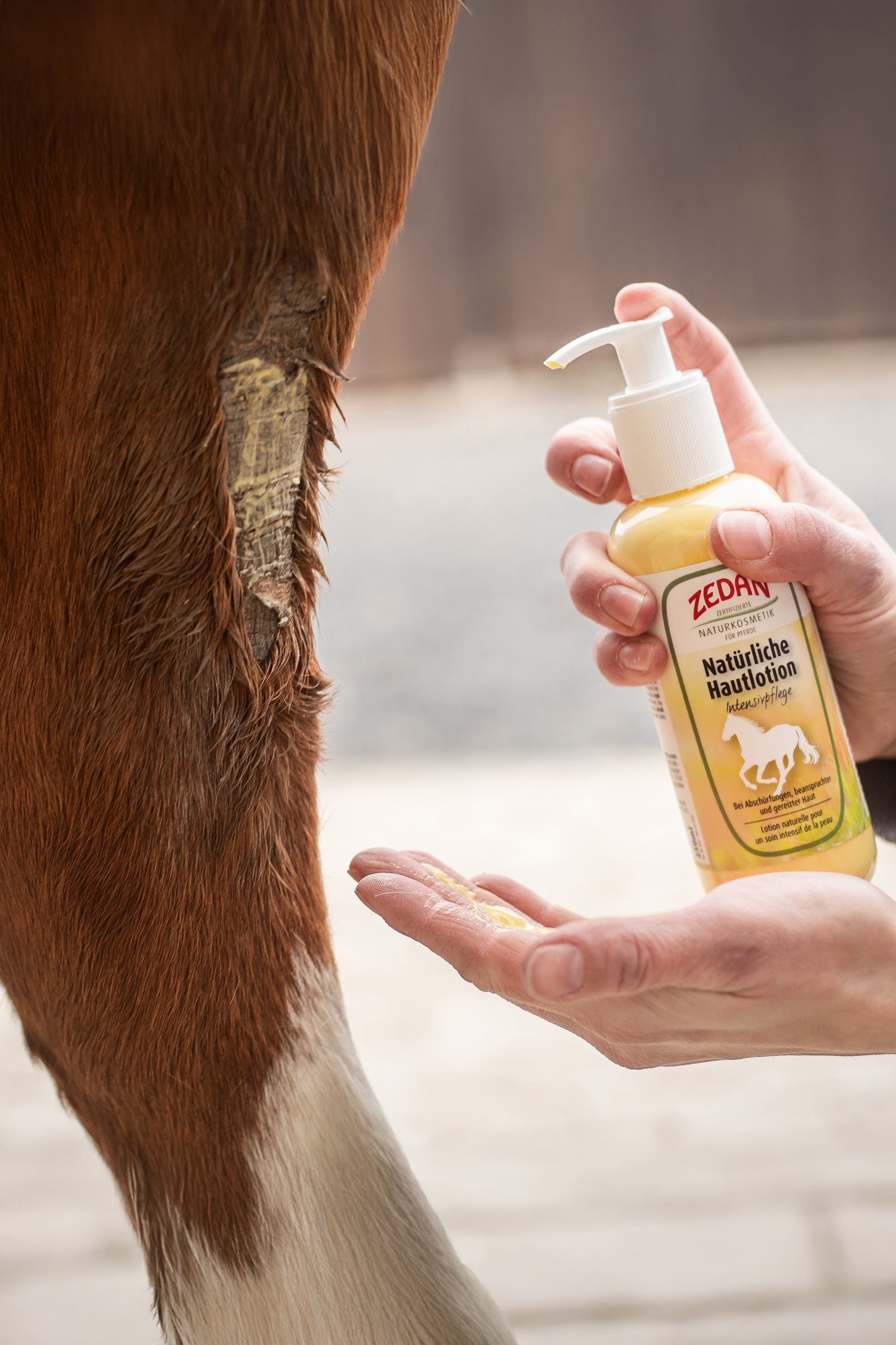 Zedan Natural Skin Lotion Intensive Care, 250ml Horse Health Care