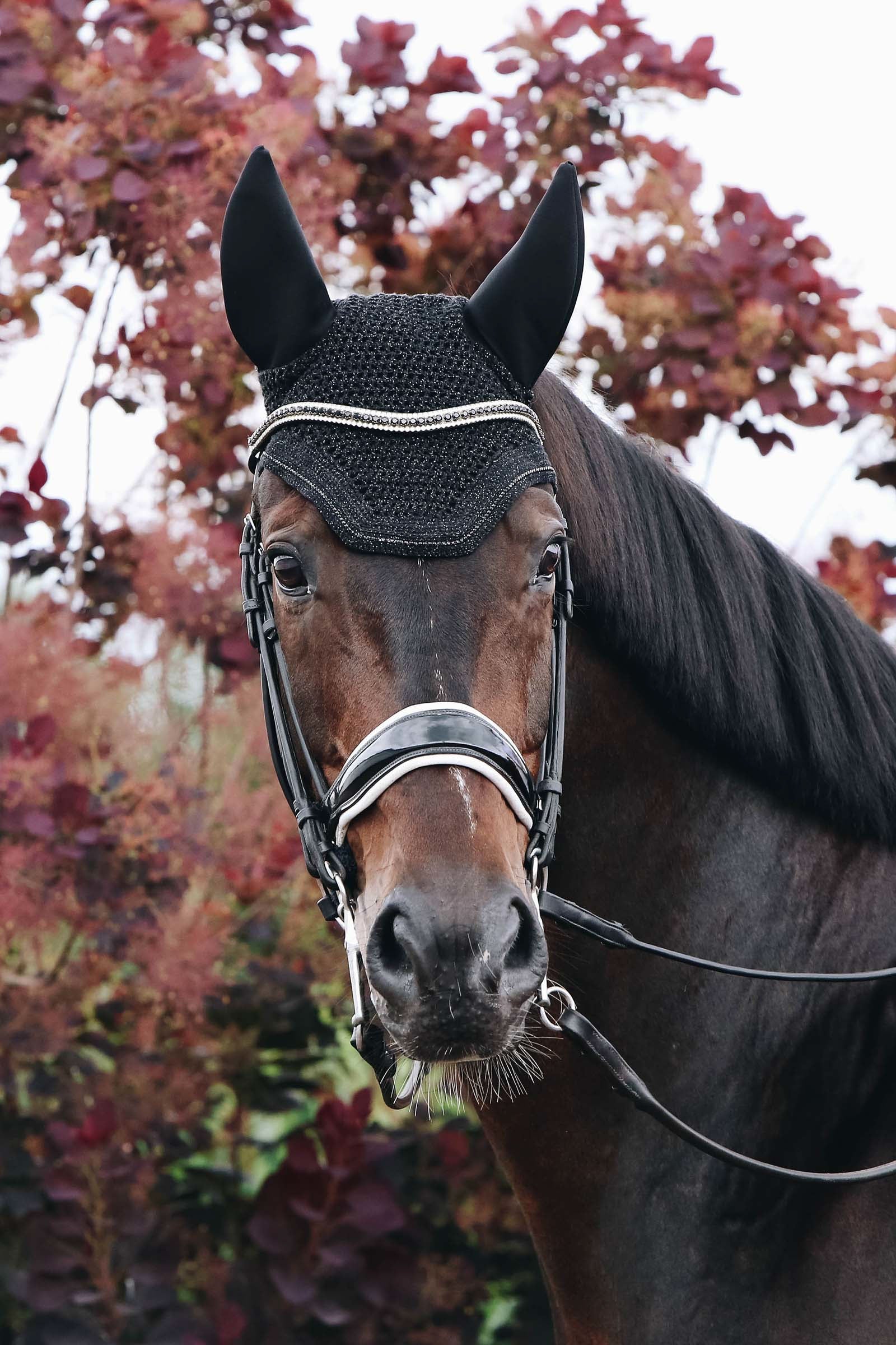 Kentucky Horsewear Wellington Sparkling Fly Veil Saddle Pads