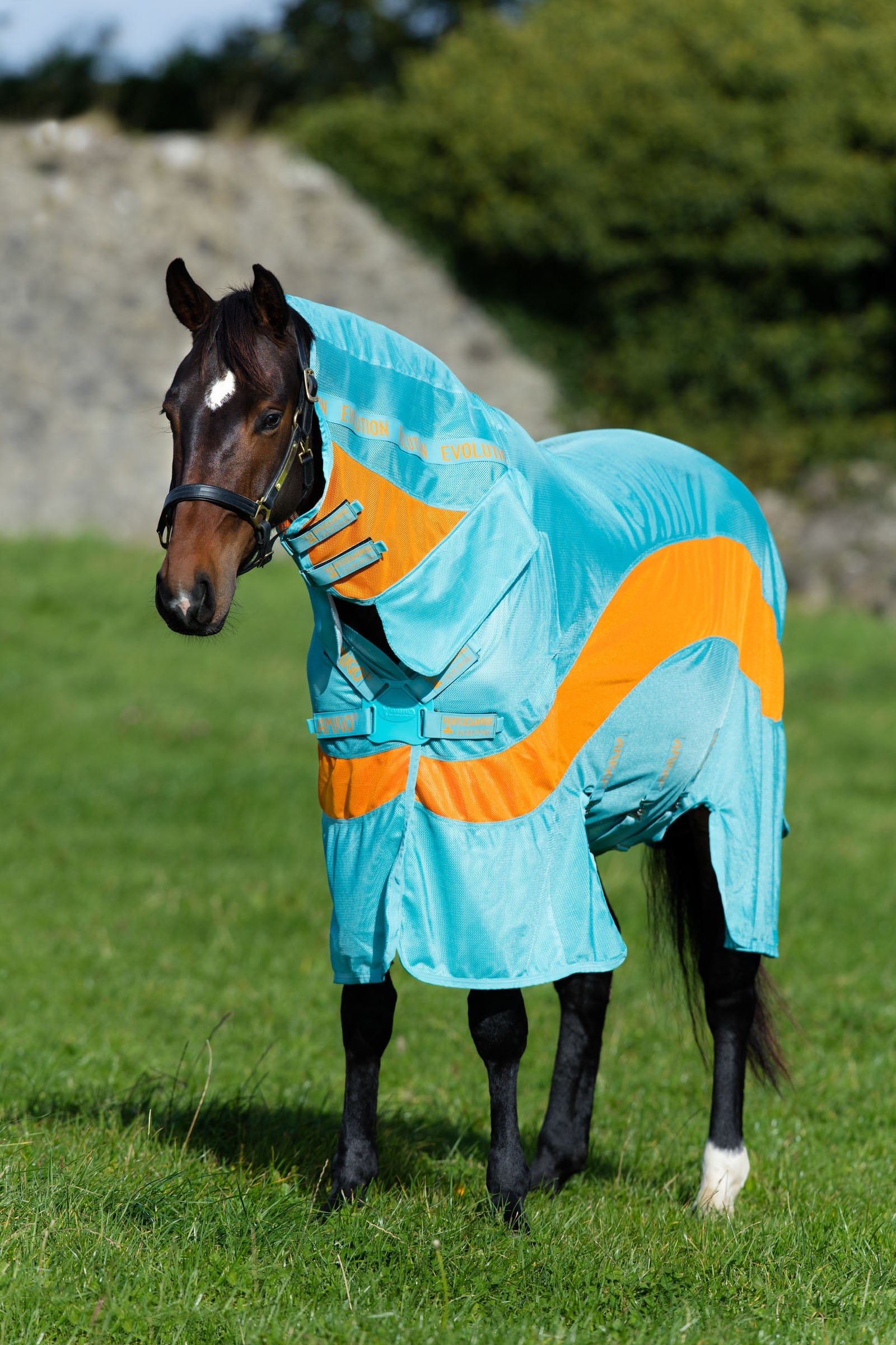 Horseware Amigo Evolution Fliegendecke mit festem Halsteil Pferdedecken