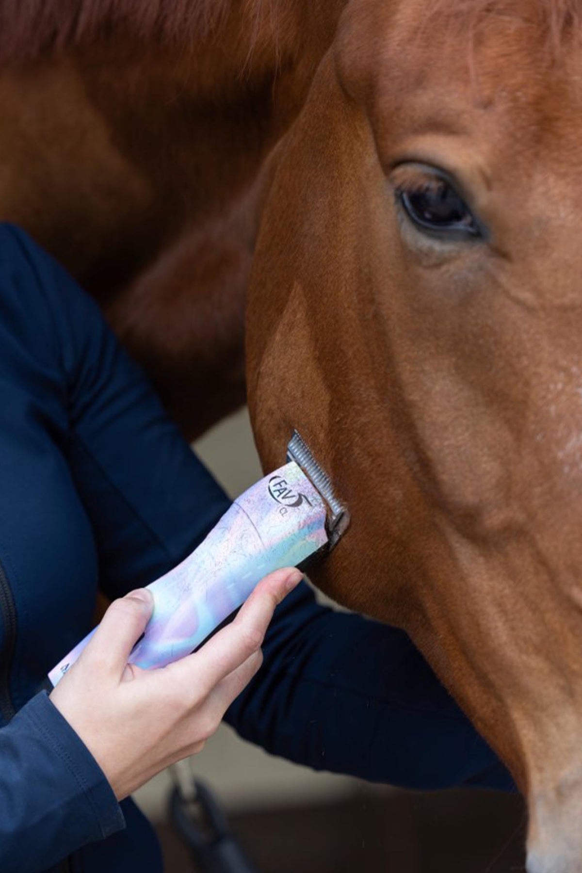 Aesculap FAV5 CL Cordless Clipper For Horses Horse Clipping & Trimming Tools