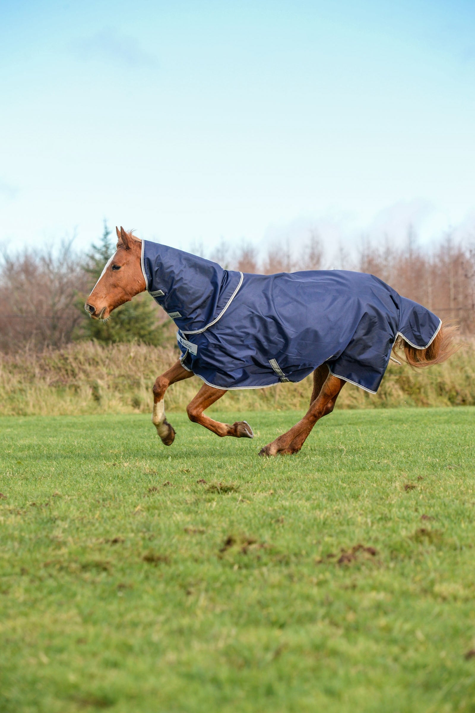 Bucas Atlantic Turnout Rug, 400g Horse Rugs