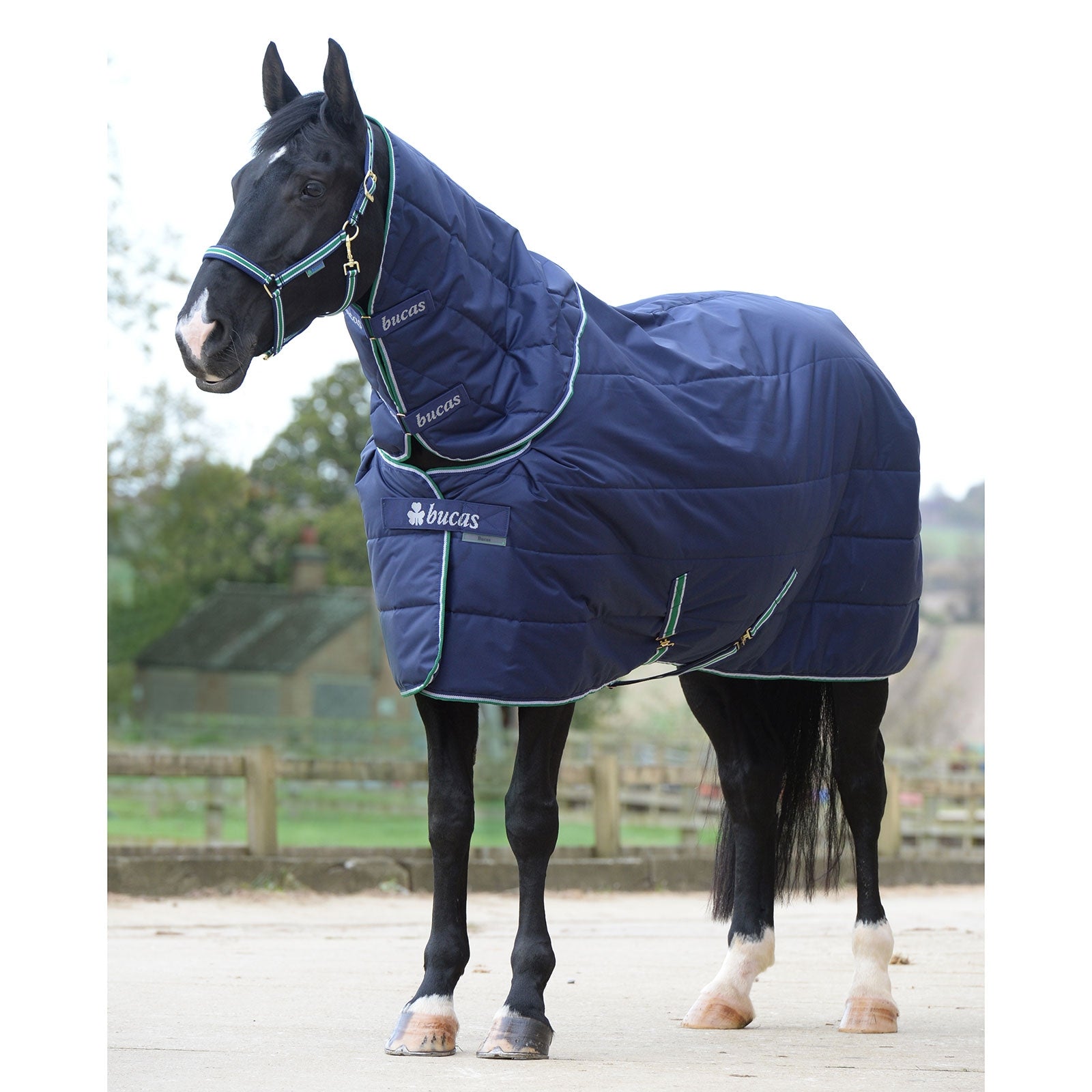 Bucas Quilt Big Neck SF Under Rug, 150g Horse Rugs