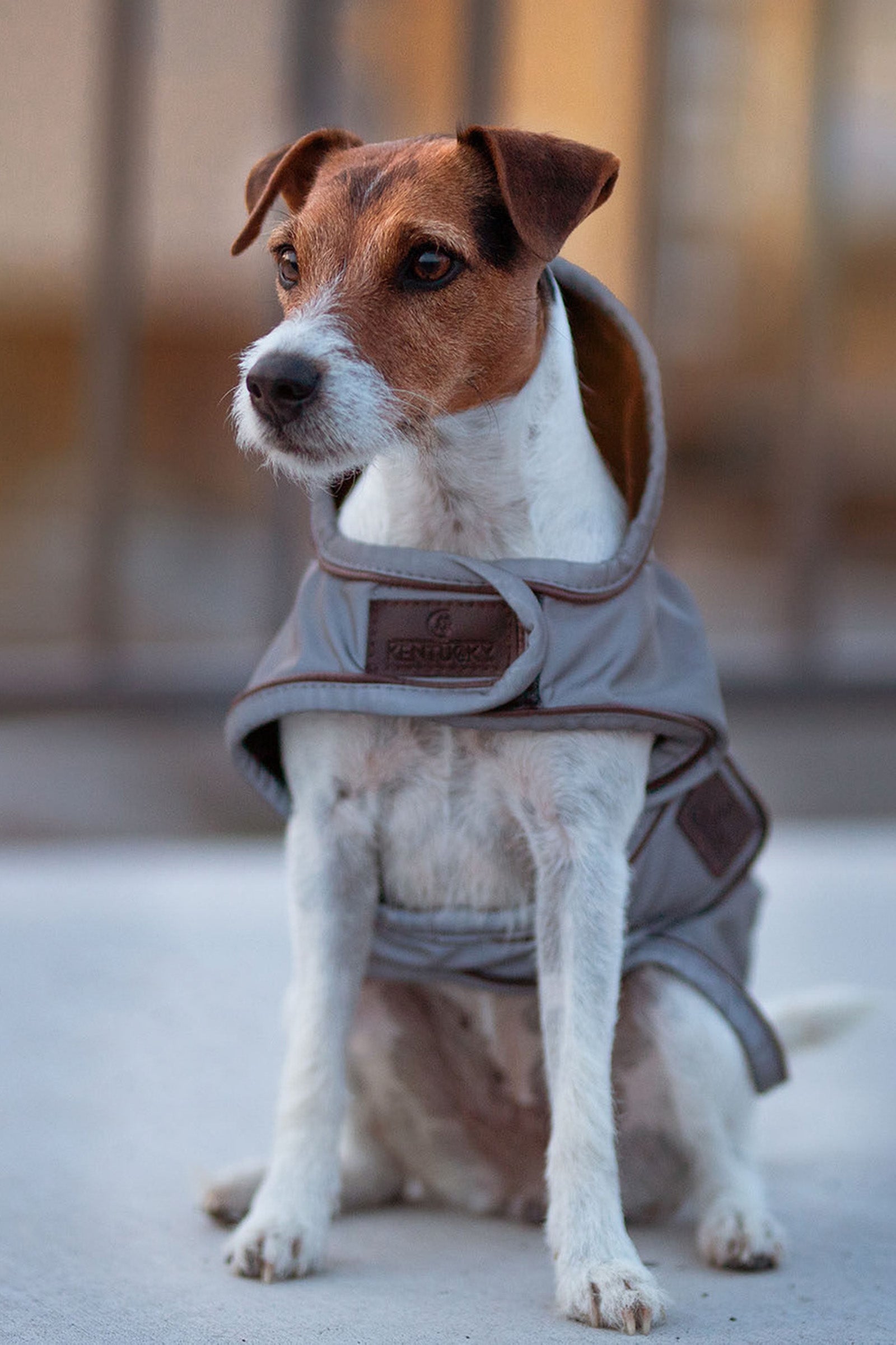 Kentucky Dogwear Hundemantel Reflektierend & Wasserabweisend Hund