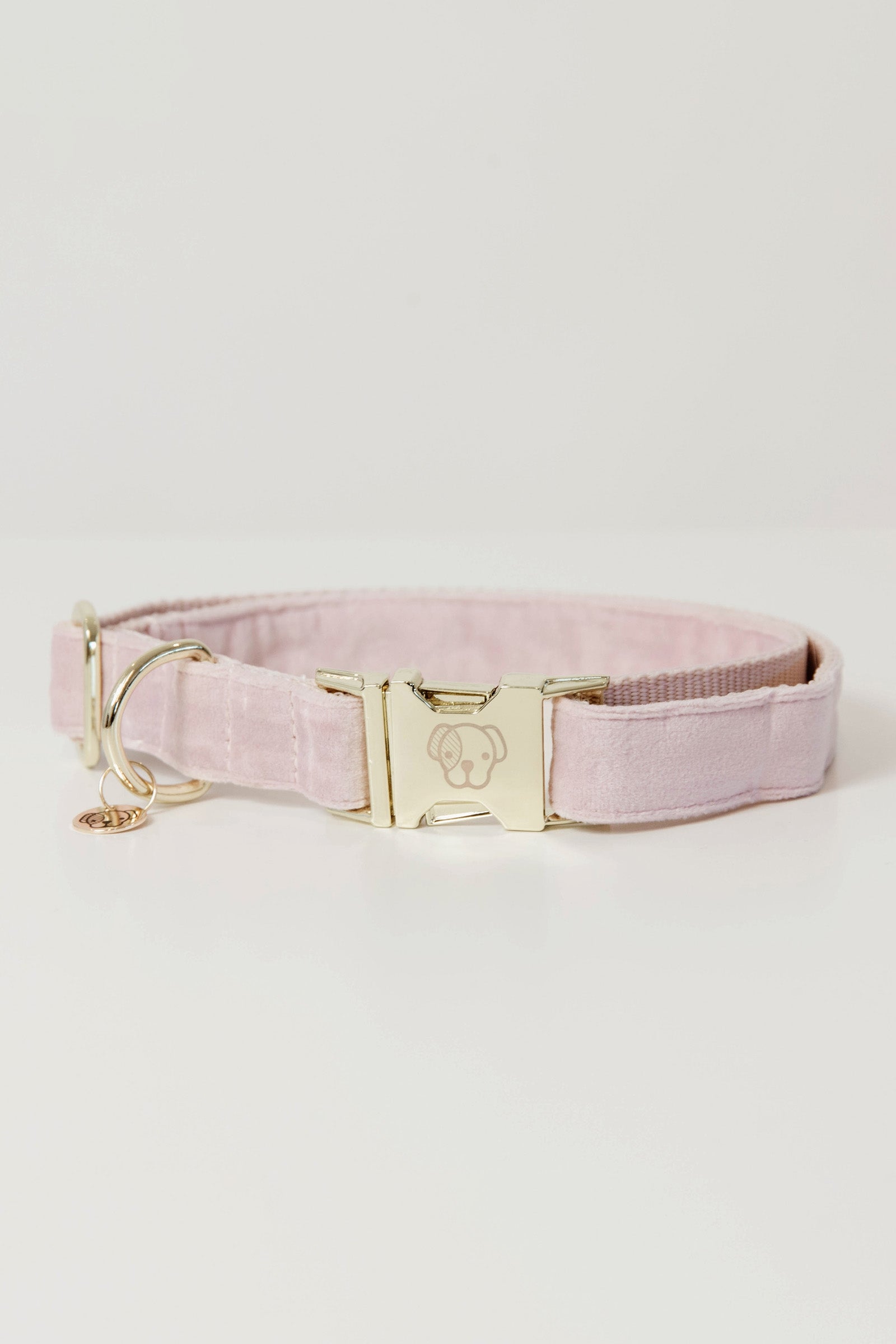 Kentucky Dogwear Hundehalsband Velvet Hund