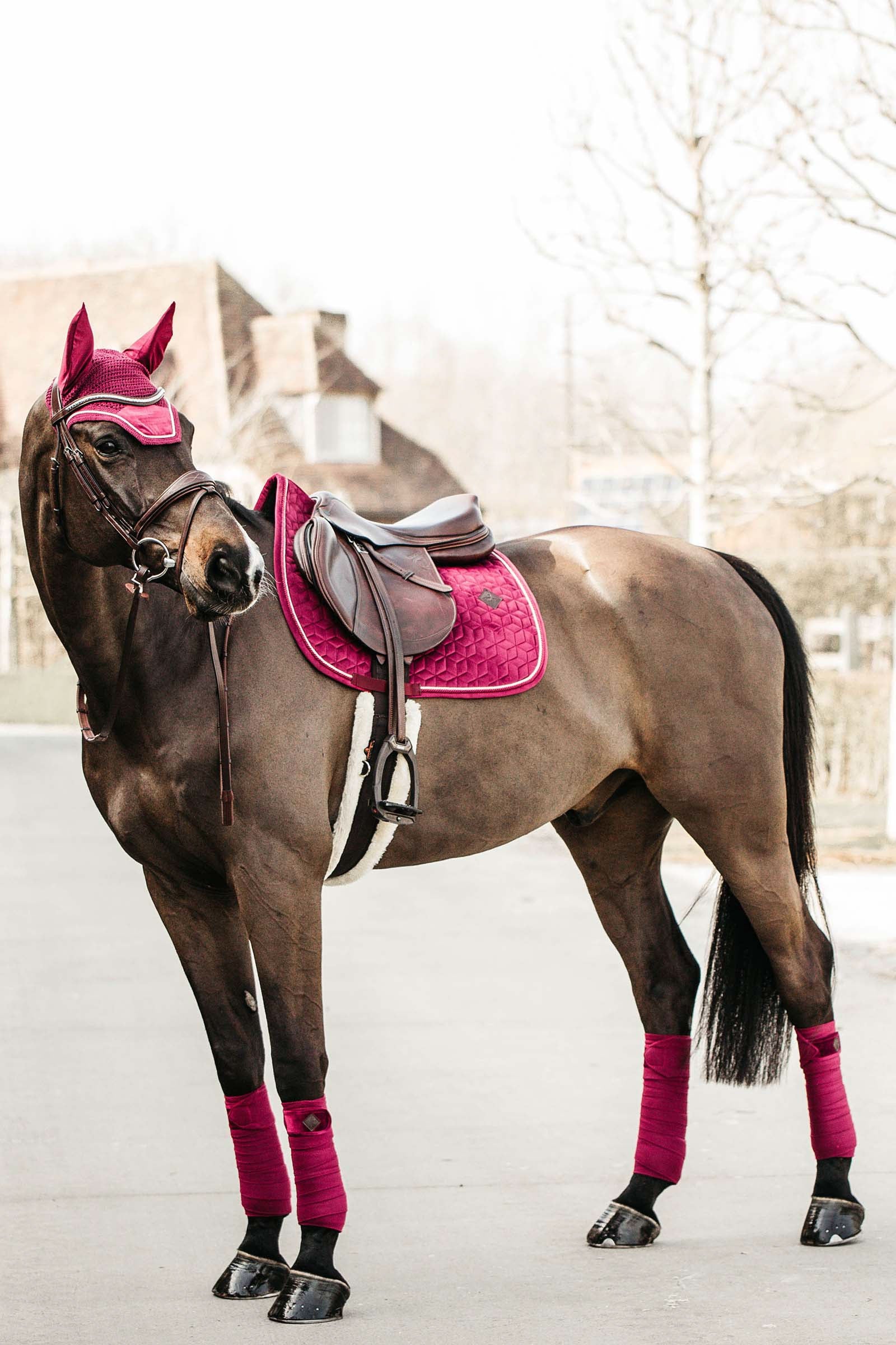 Kentucky Horsewear Velvet Jumping Saddle Pad Saddle Pads