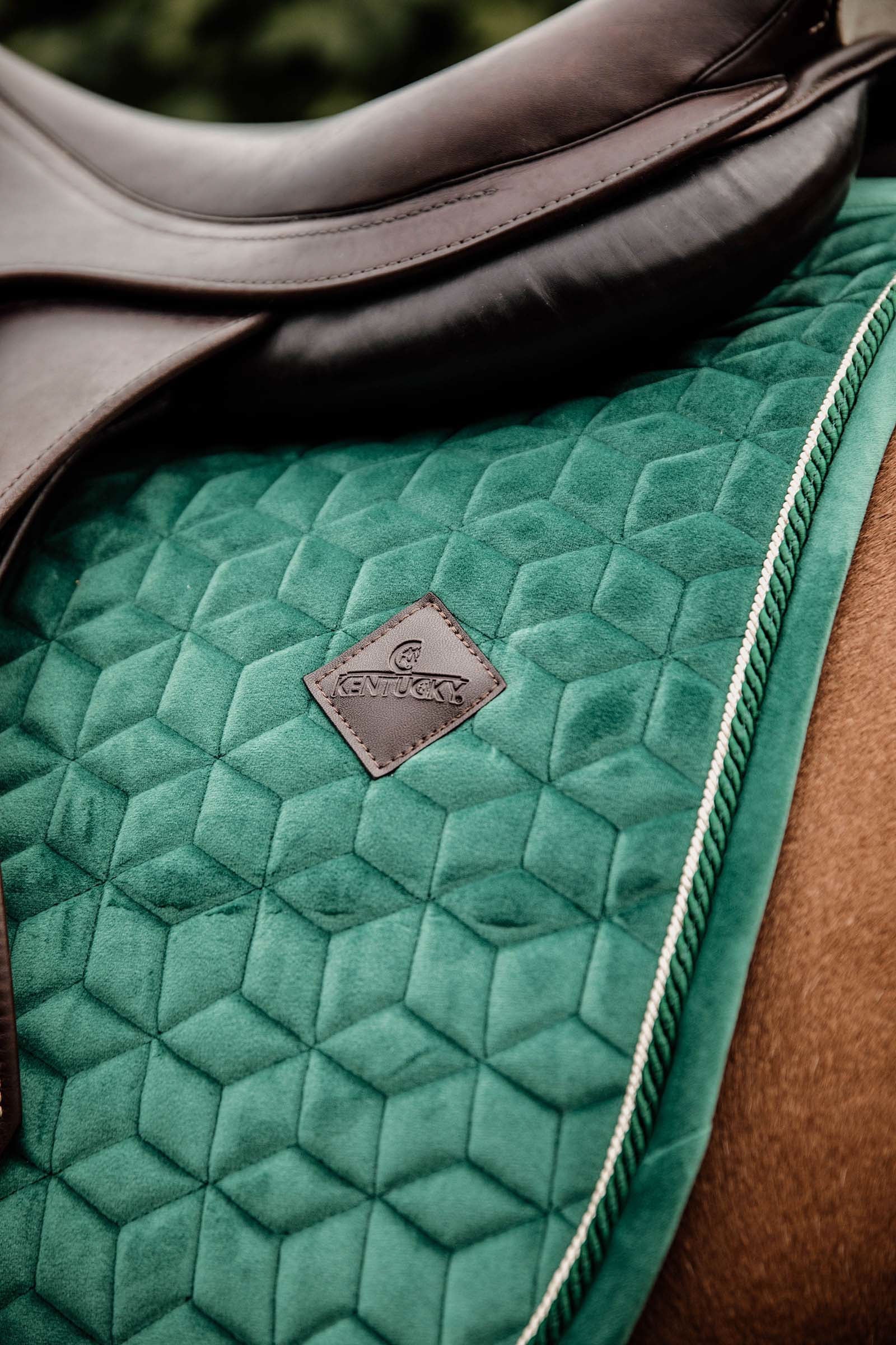 Kentucky Horsewear Velvet Jumping Saddle Pad Saddle Pads