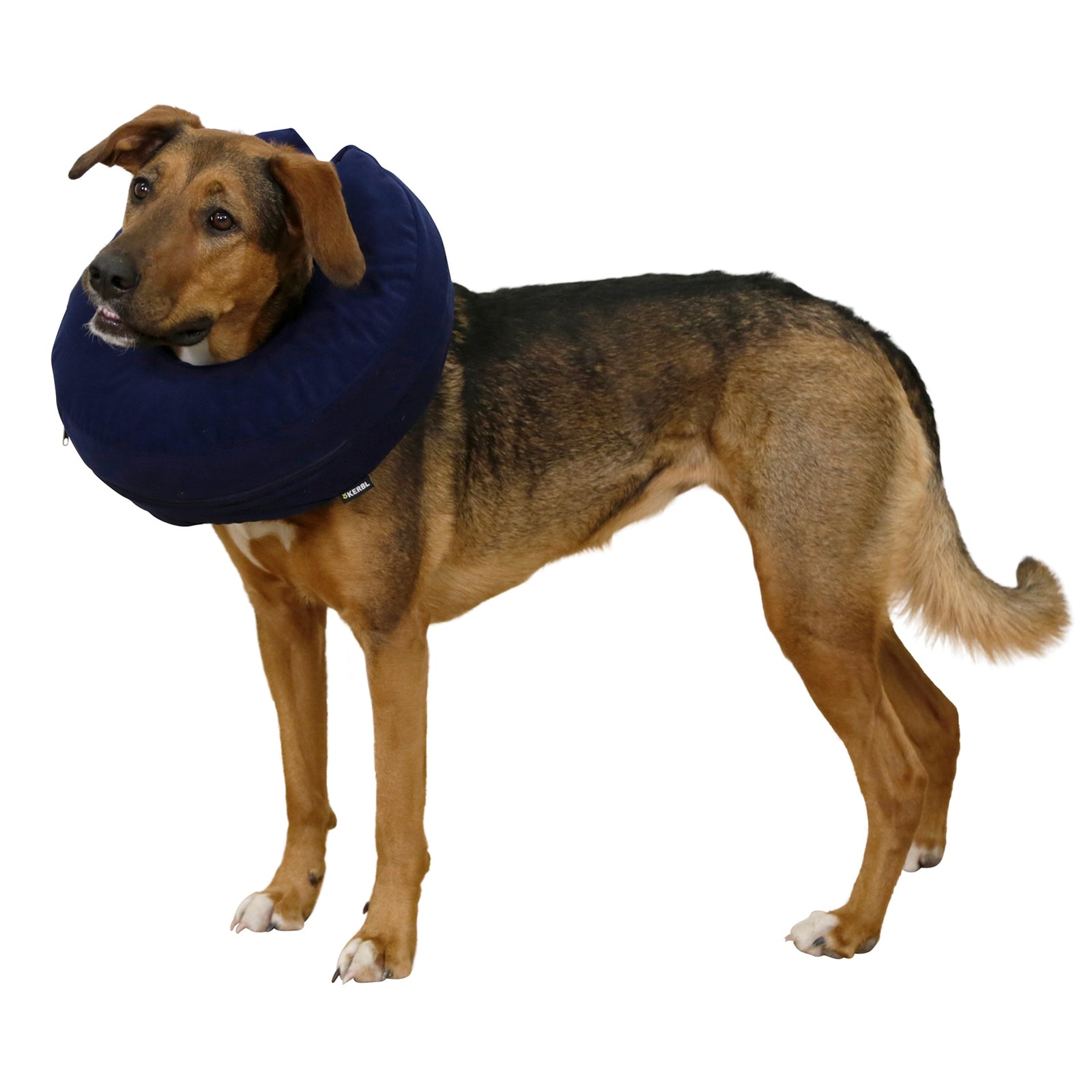 Kerbl Inflatable Dog Neck Collar 18-30cm Dog Accesories