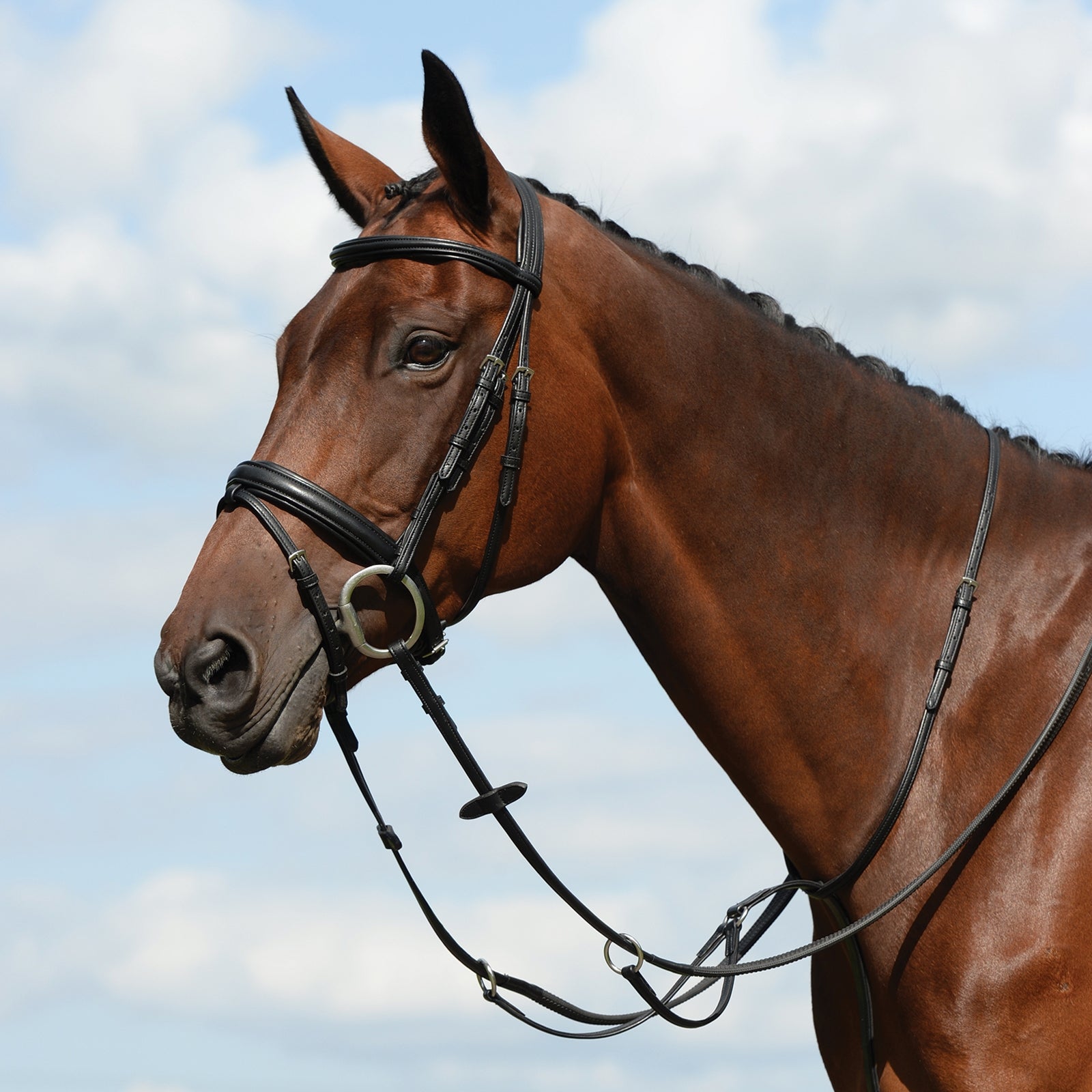Collegiate Syntovia+ Plain Flat Running Martingale Trensenzäume & Zügel