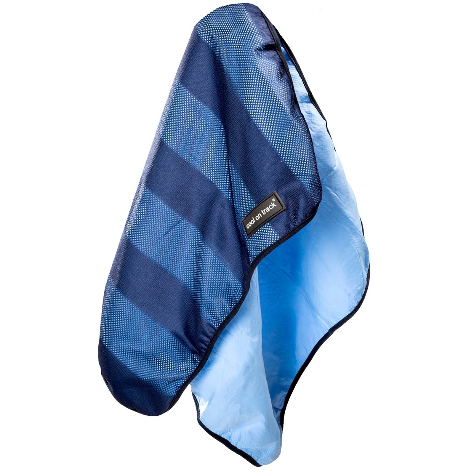 Back on Track Kühlhandtuch Hund