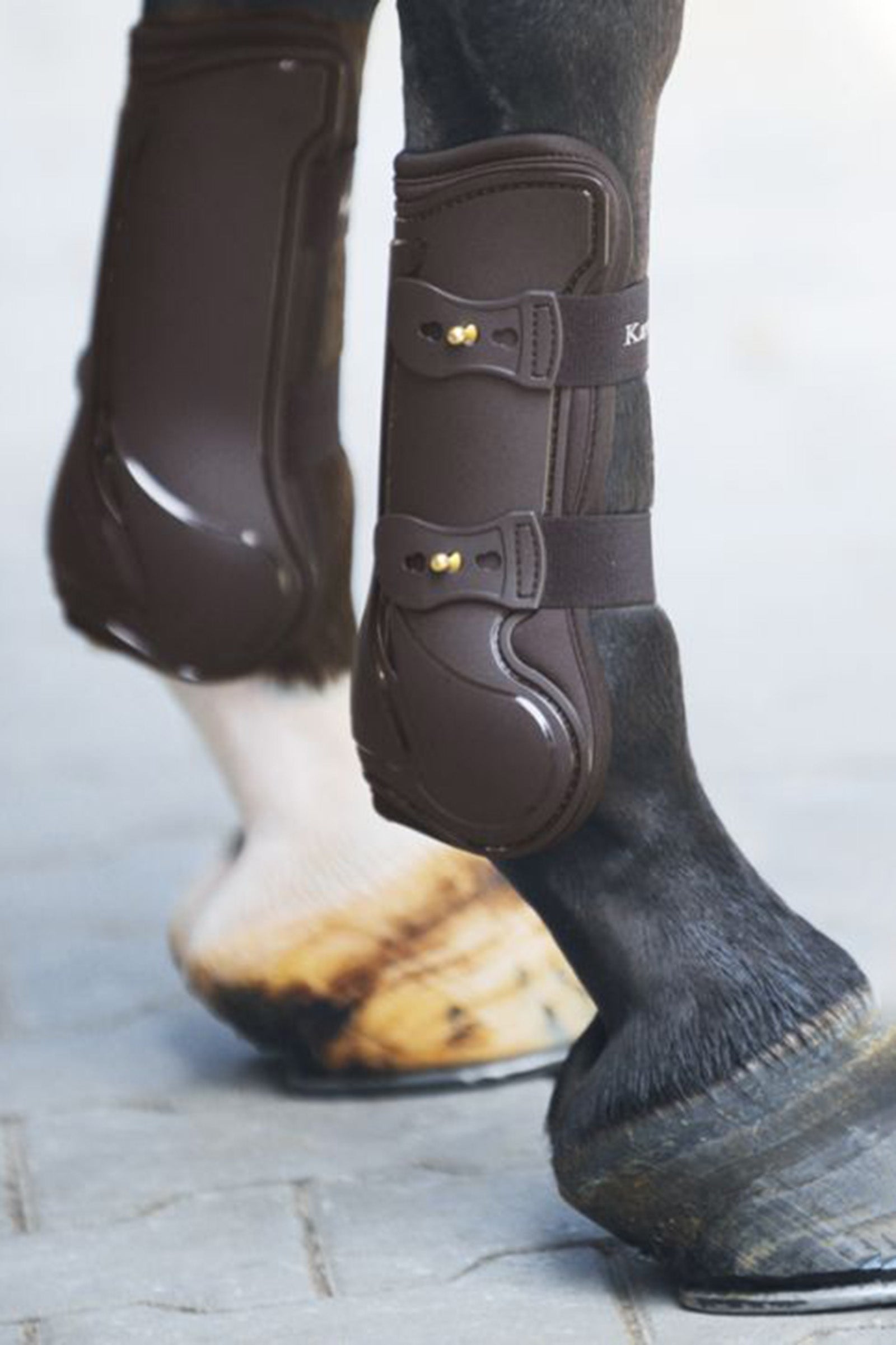 Kavalkade Hartschalen-Gamaschen Compete Leg Protection & Hoof Protection for Horses