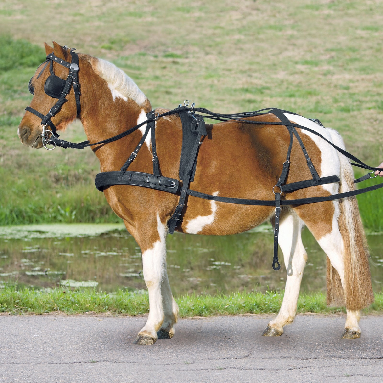 Waldhausen Single Harness Pony and Shetty Racing Tack