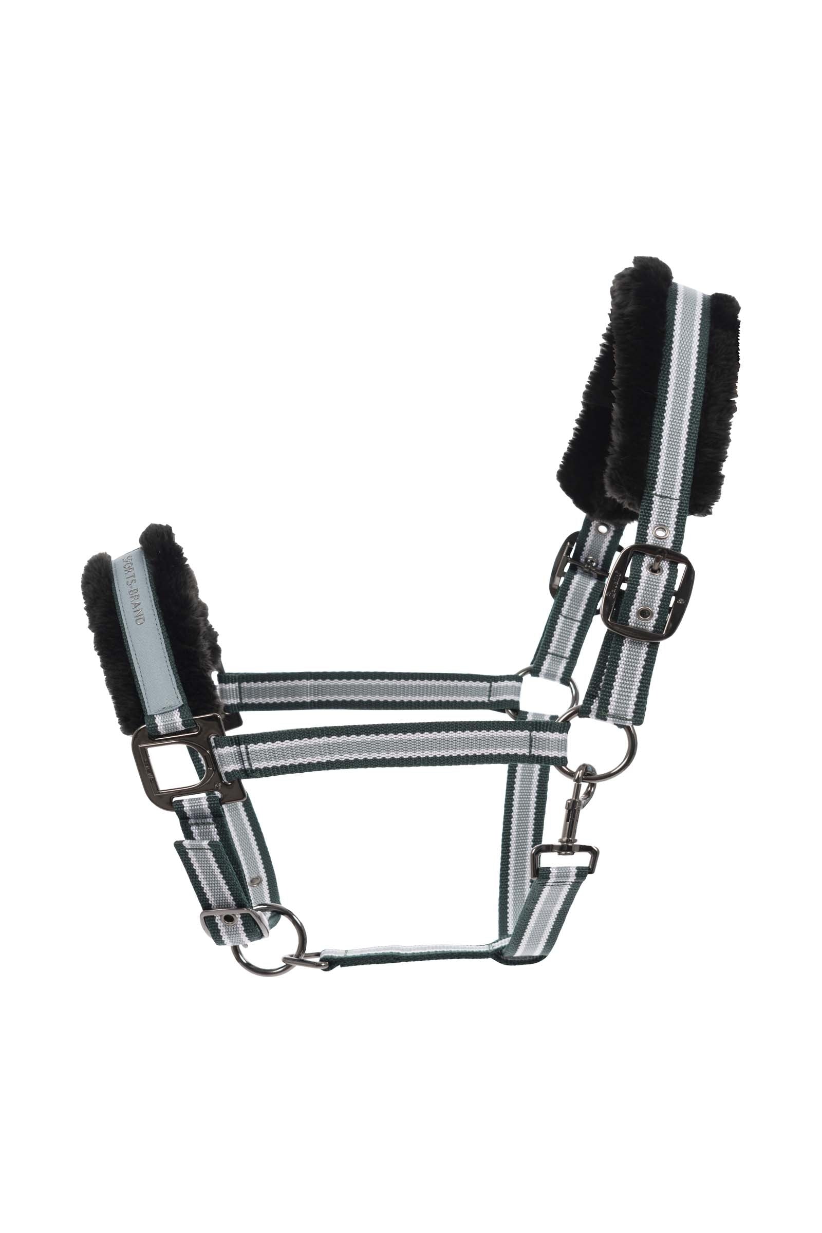 Cavallo CAVALHELIA Halfter Halfter & Stricke