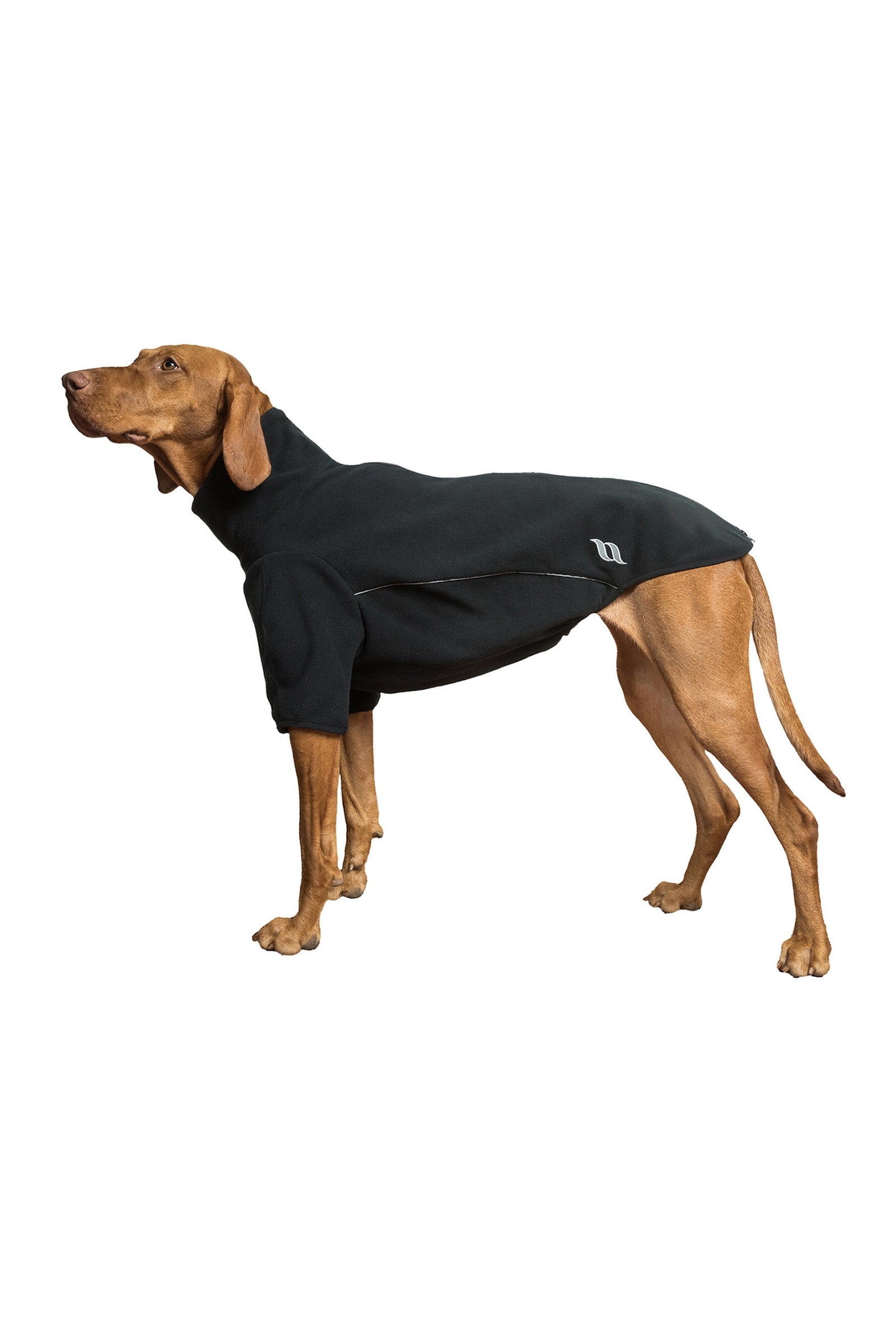 undefined Back on Track Cassie All-Weather Jumper, 65-70cm Dog Accesories