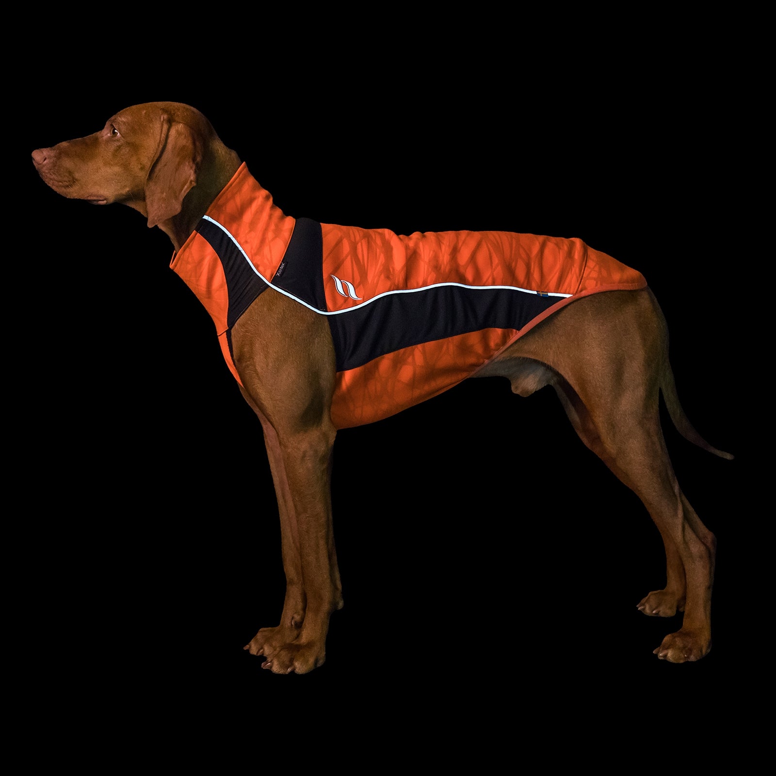 undefined Back on Track Eddie Petite High-Visibility Jumper, 30-35cm Dog Accesories