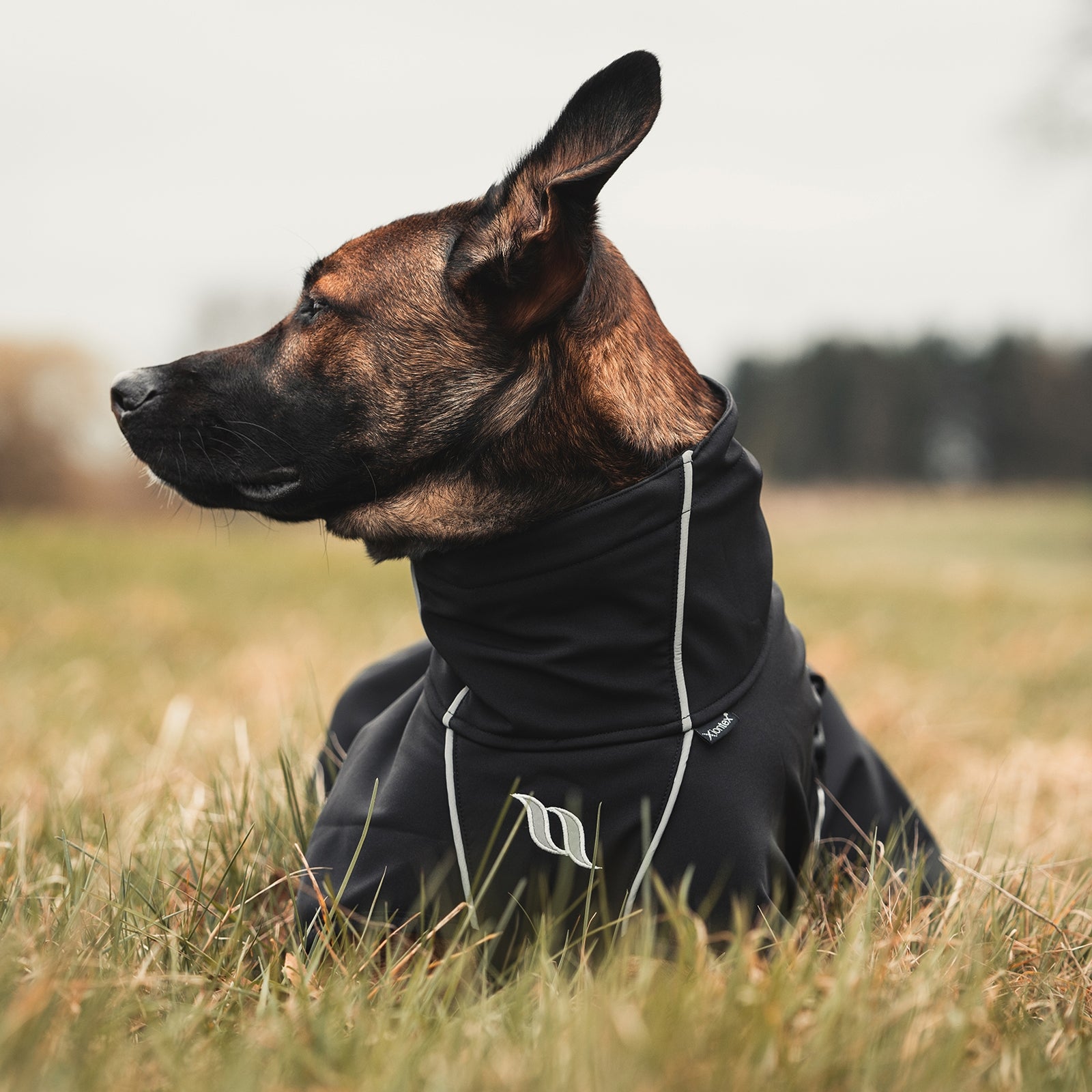 Back on Track Nella All-Round Dog Coat 55-65 cm Dog Accesories