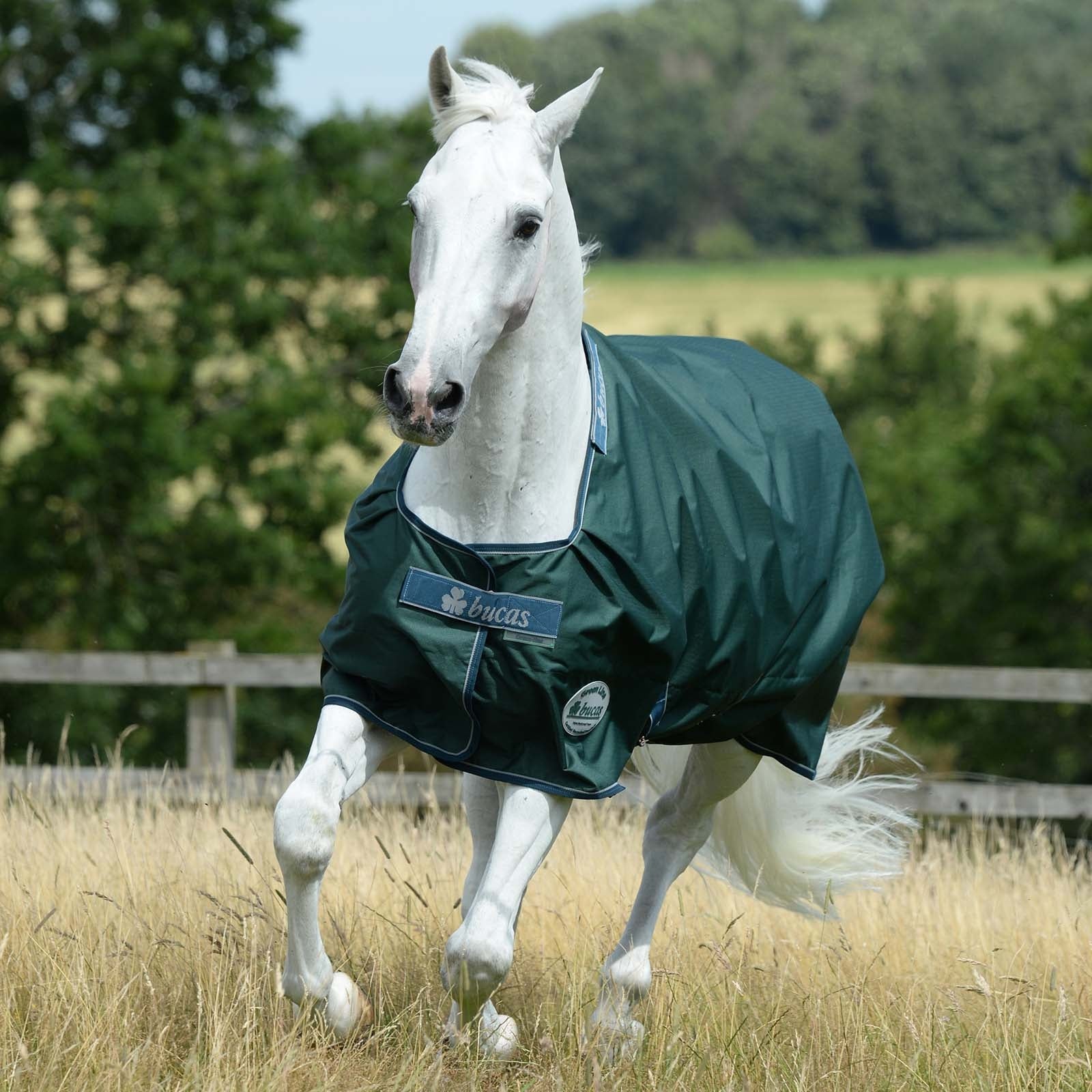 Bucas Green-Line Turnout 100g Weidedecke Pferdedecken
