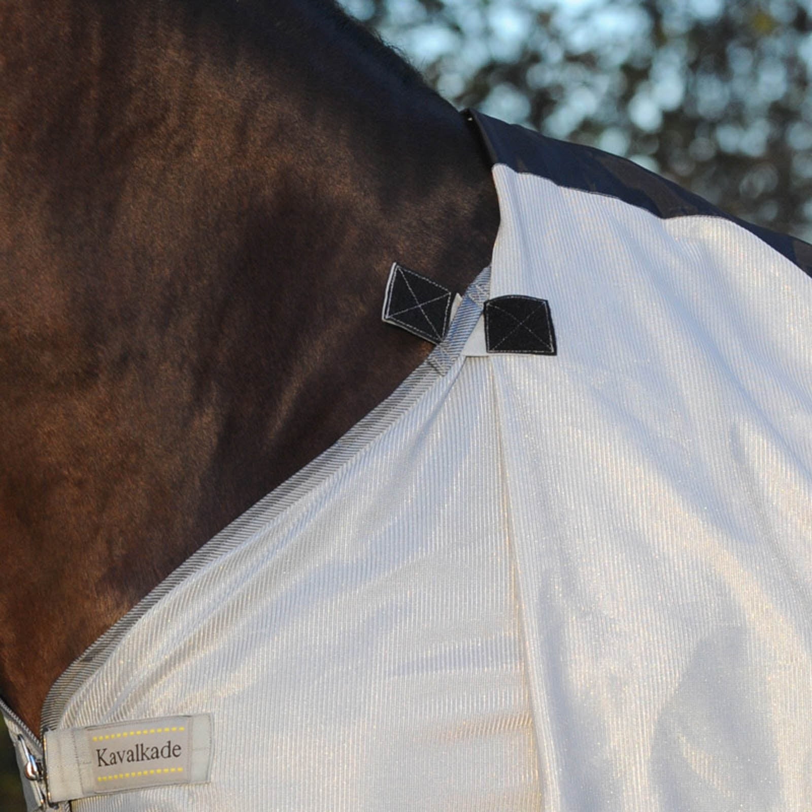 Kavalkade Fly Rug with Removable Neck Horse Rugs