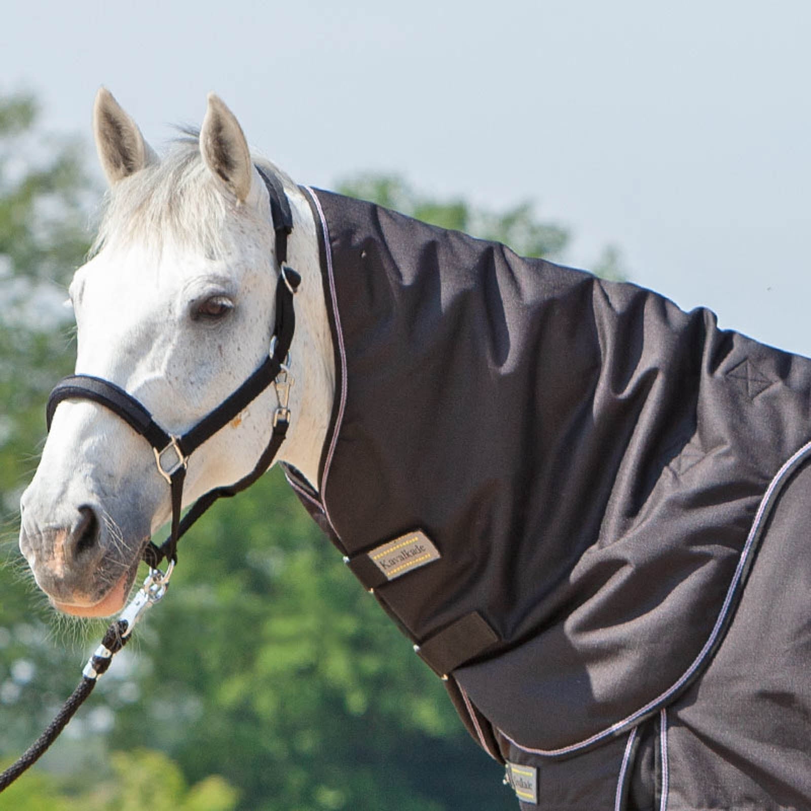 Kavalkade Halsteil für Alaska IV, 100g Pferdedecken