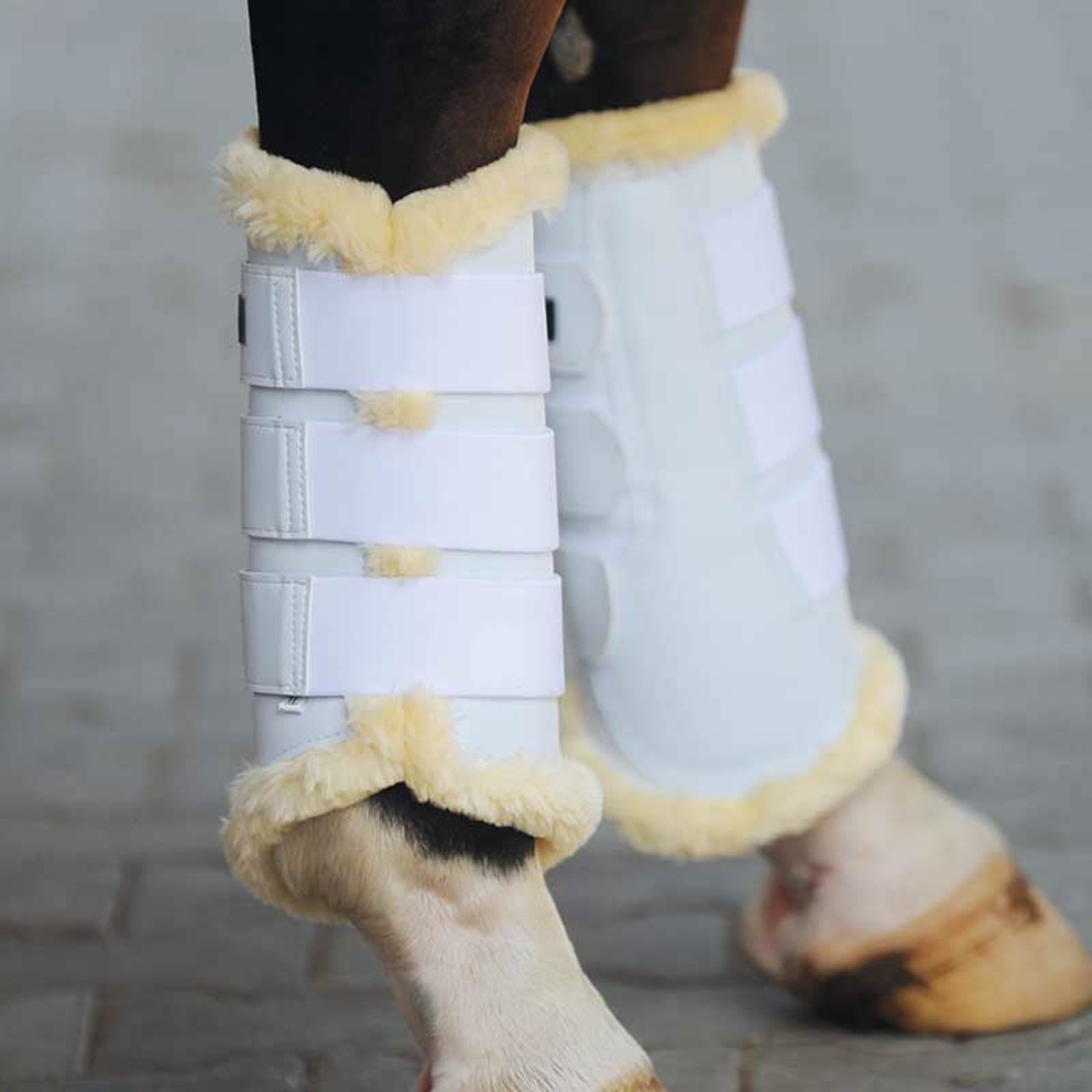 Kavalkade Show Gamaschen Leg Protection & Hoof Protection for Horses