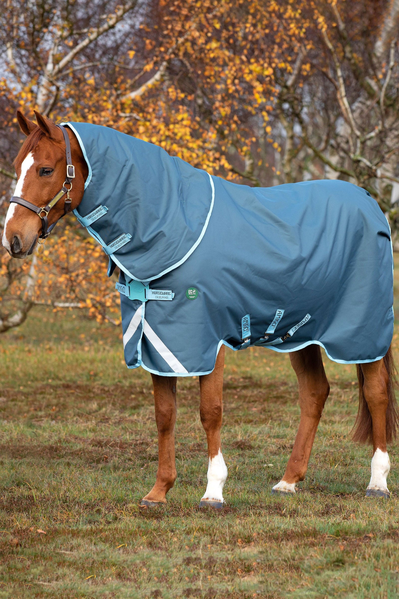 Horseware Amigo AmEco 12 Plus inkl. abnehmbarem Halsteil, 250g Pferdedecken