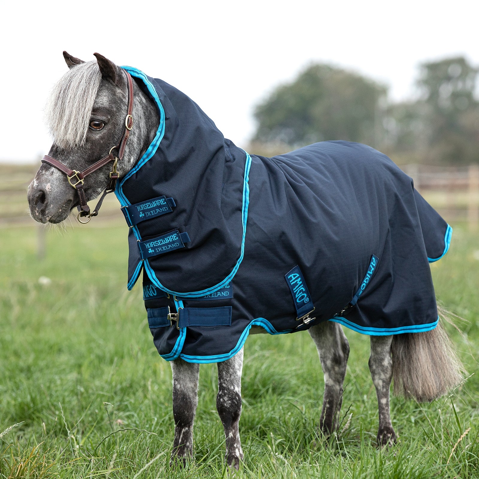 Horseware Amigo 6 Petite Plus Weidedecke inkl. abnehmbarem Halsteil, 200g Pferdedecken
