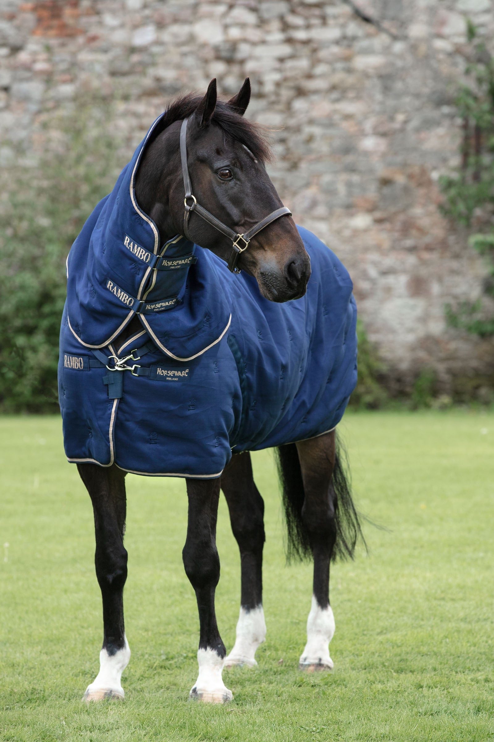 Horseware Rambo Deluxe Stable Plus incl. Detachable Hood, 200g Horse Rugs